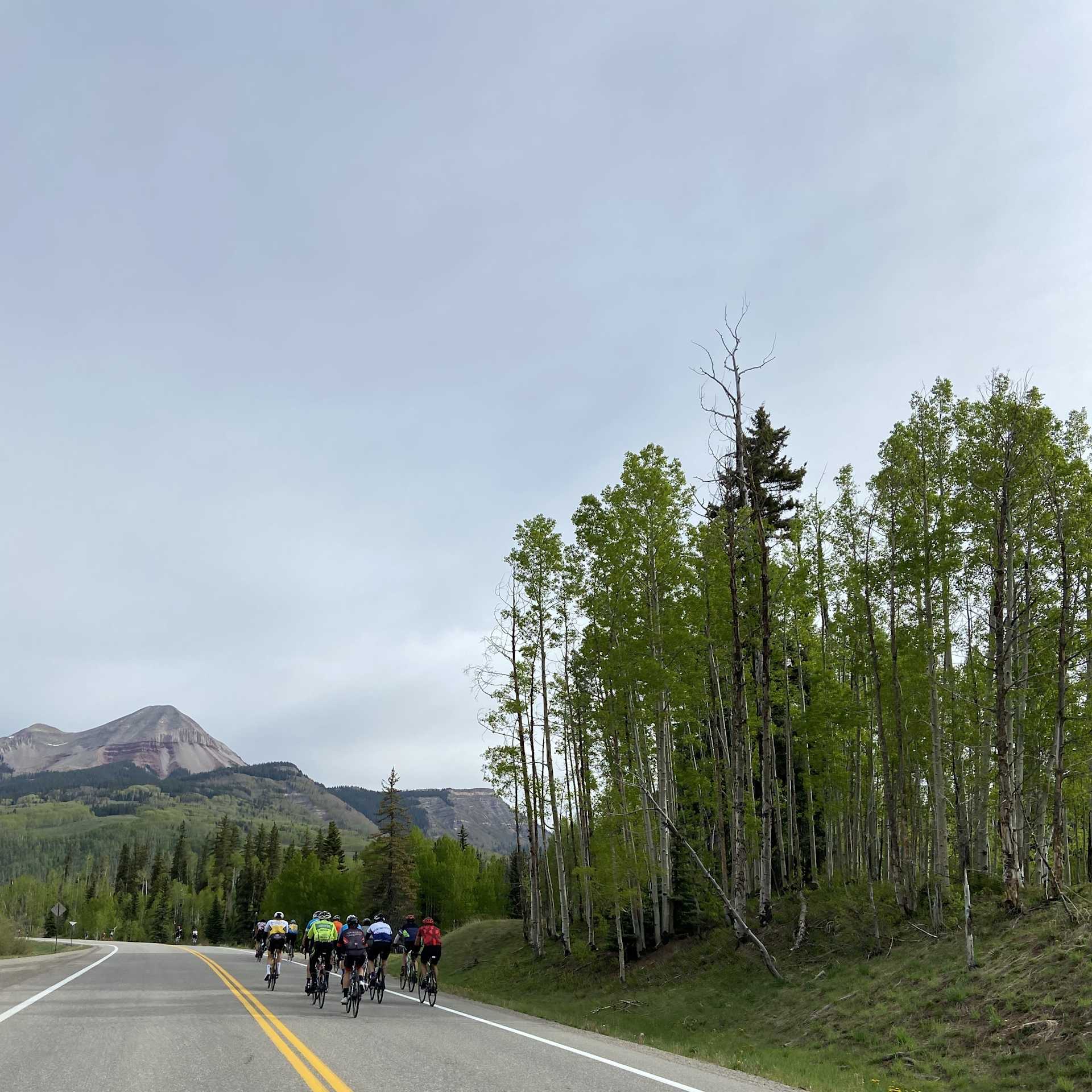 Road Racers Riding in the Iron Horse Bicycle Classic