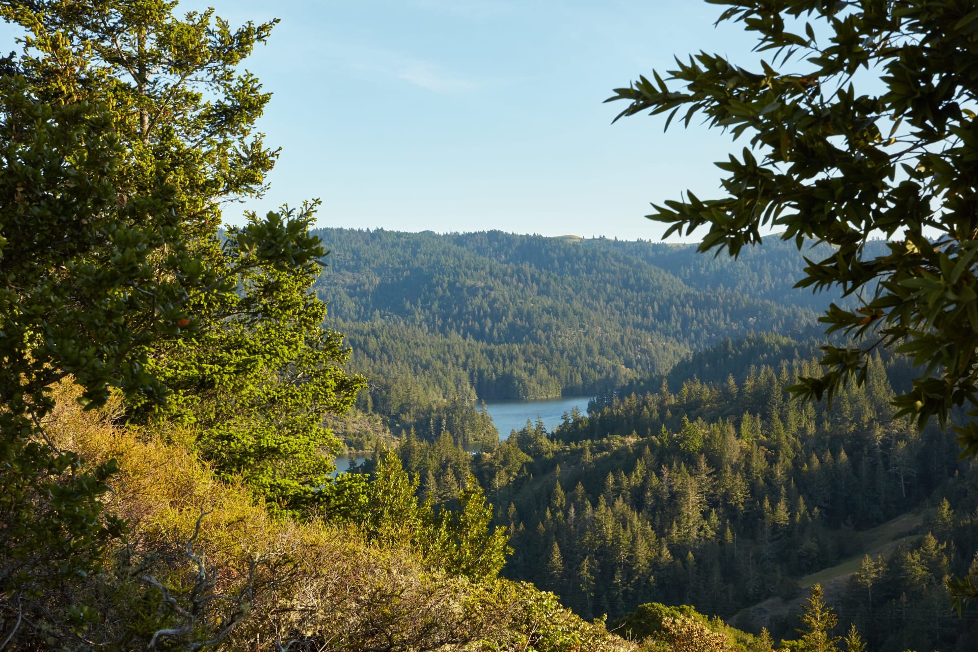 Marin County Eric Gelman Marin County Real Estate Agent