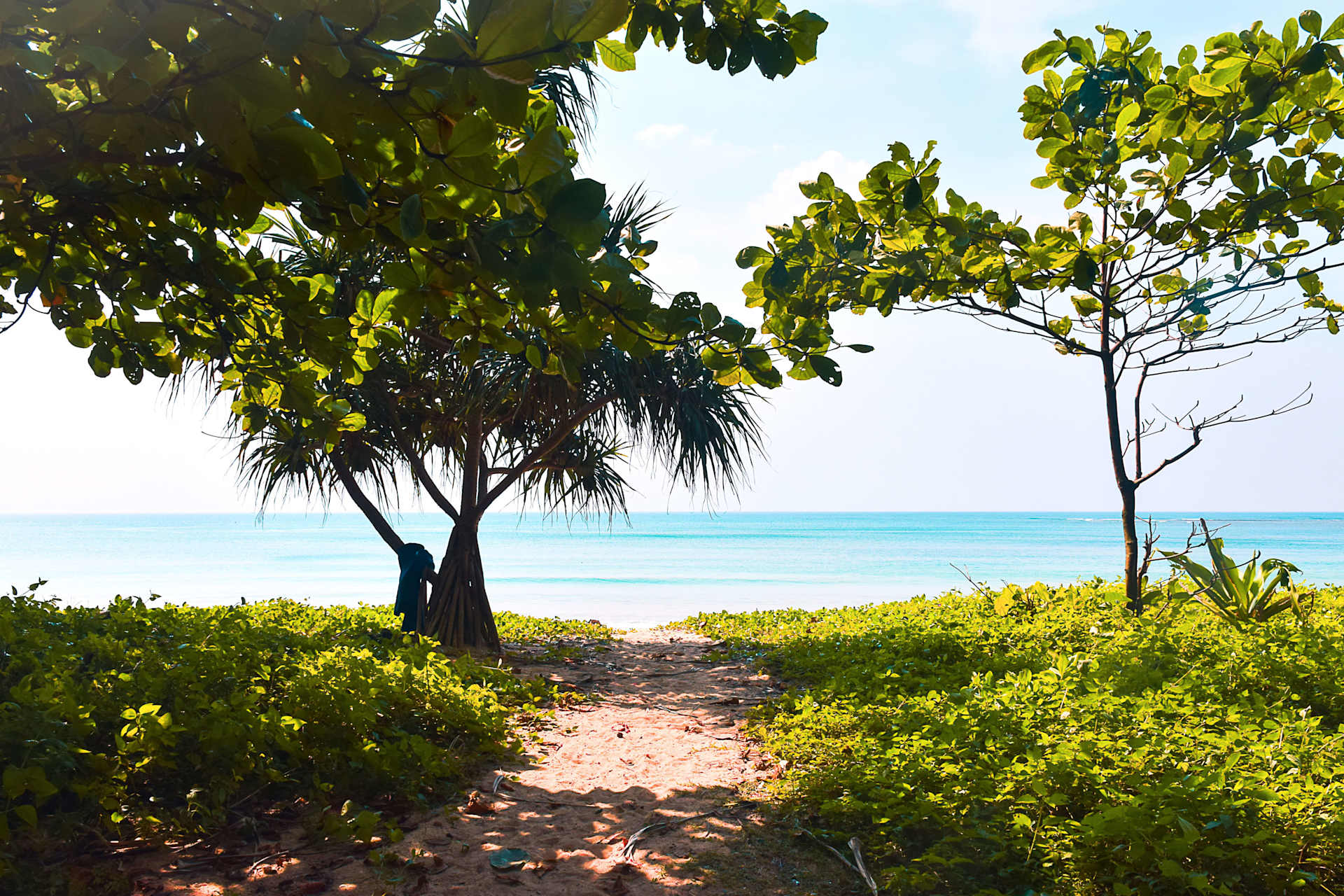 Anna Maria Island, FL Real Estate & Homes for Sale