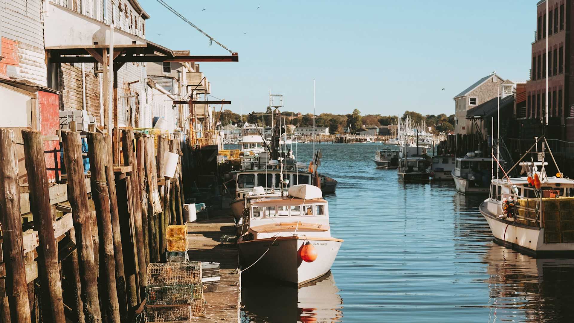 Meet Town & Shore Real Estate Maine Real Estate Experts