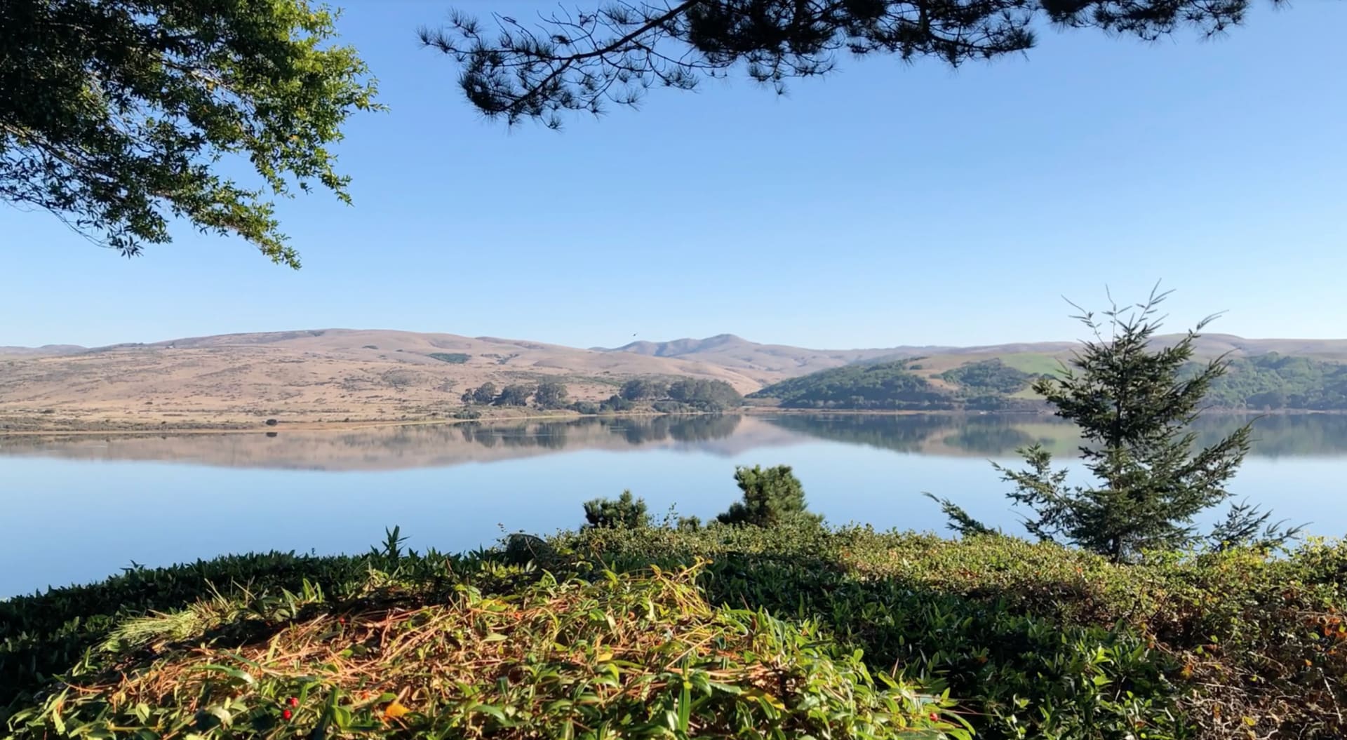 Terry Donohue Bolinas Real Estate Agent