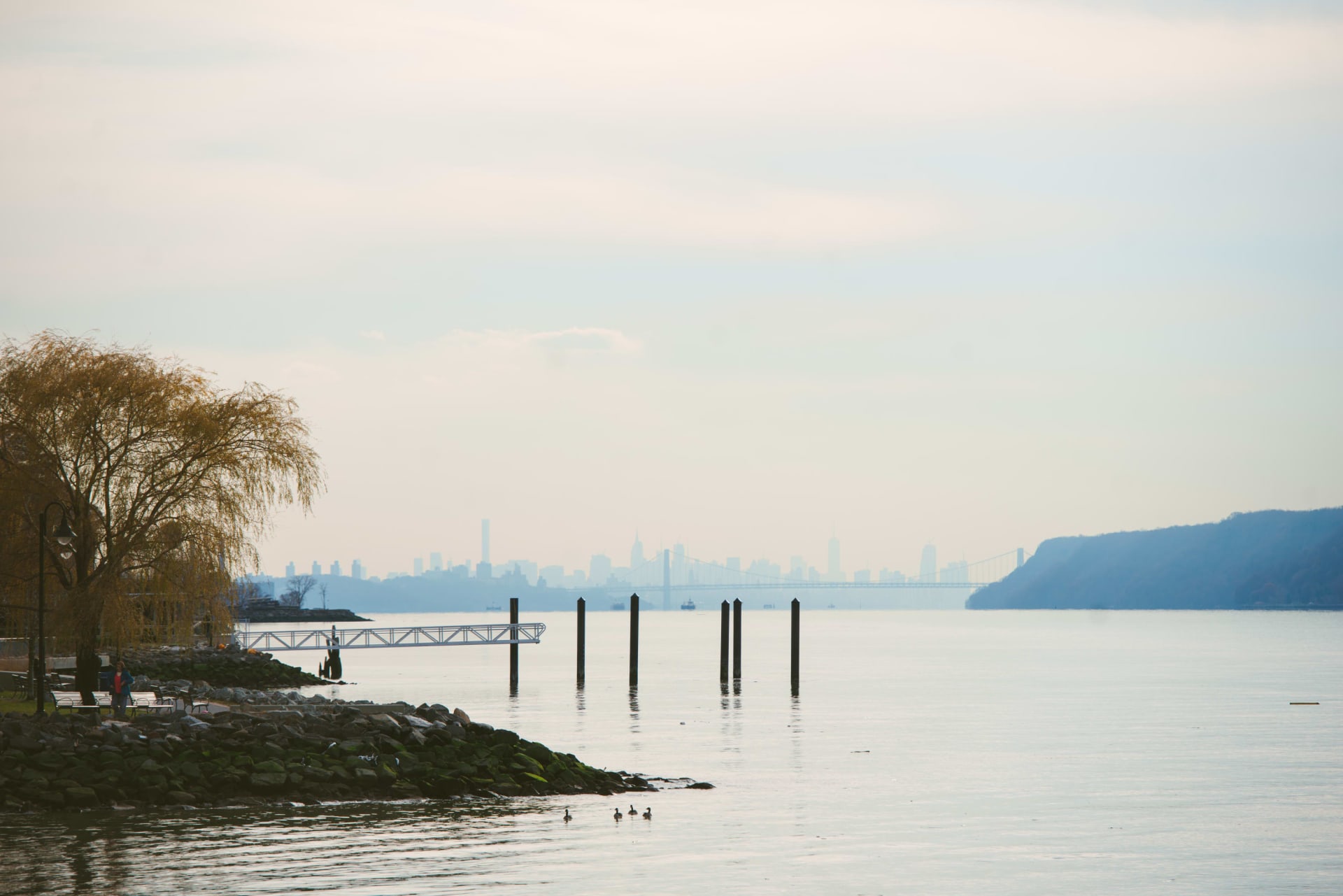 About Dobbs Ferry The Dobbs Team Cedar Commons