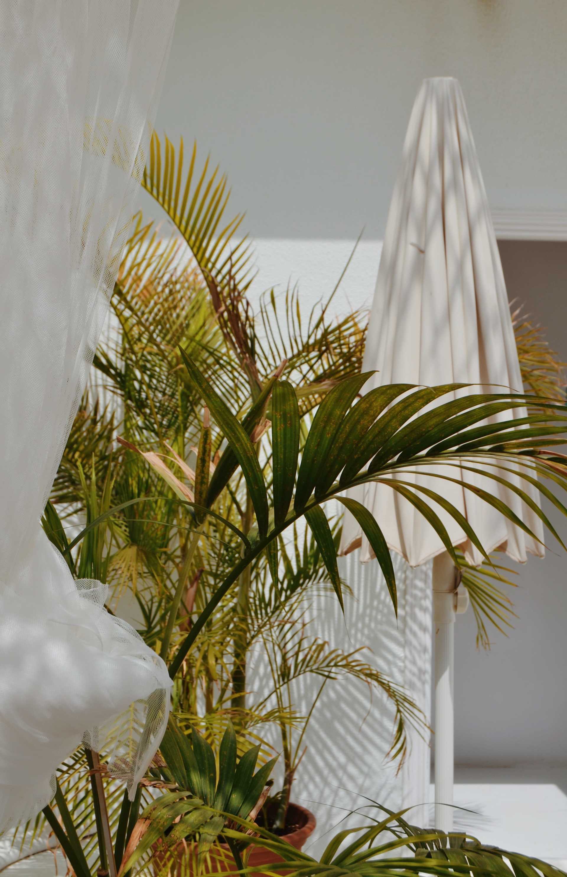 Evolve Property Group Central Florida Real Estate Advisors