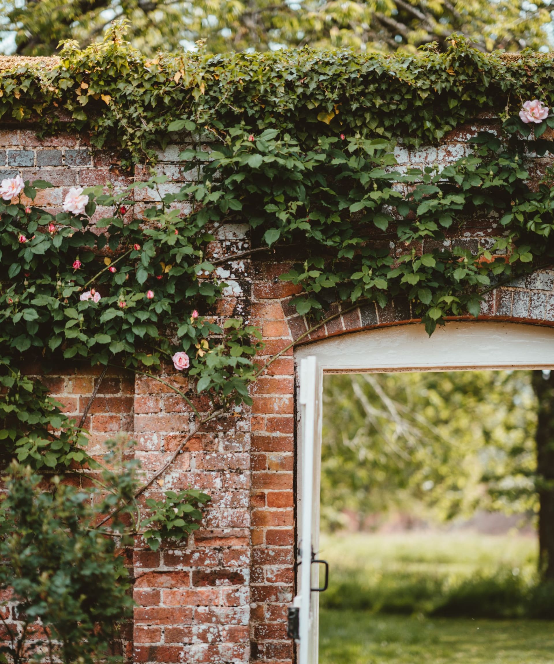 Kim Keefe's Team Open Doors Woodstock Real Estate