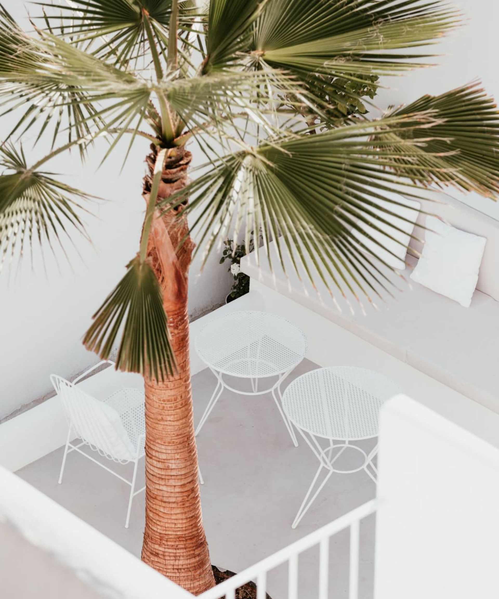 Jaya Brossard & John Odorzynski Florida Real Estate Agents