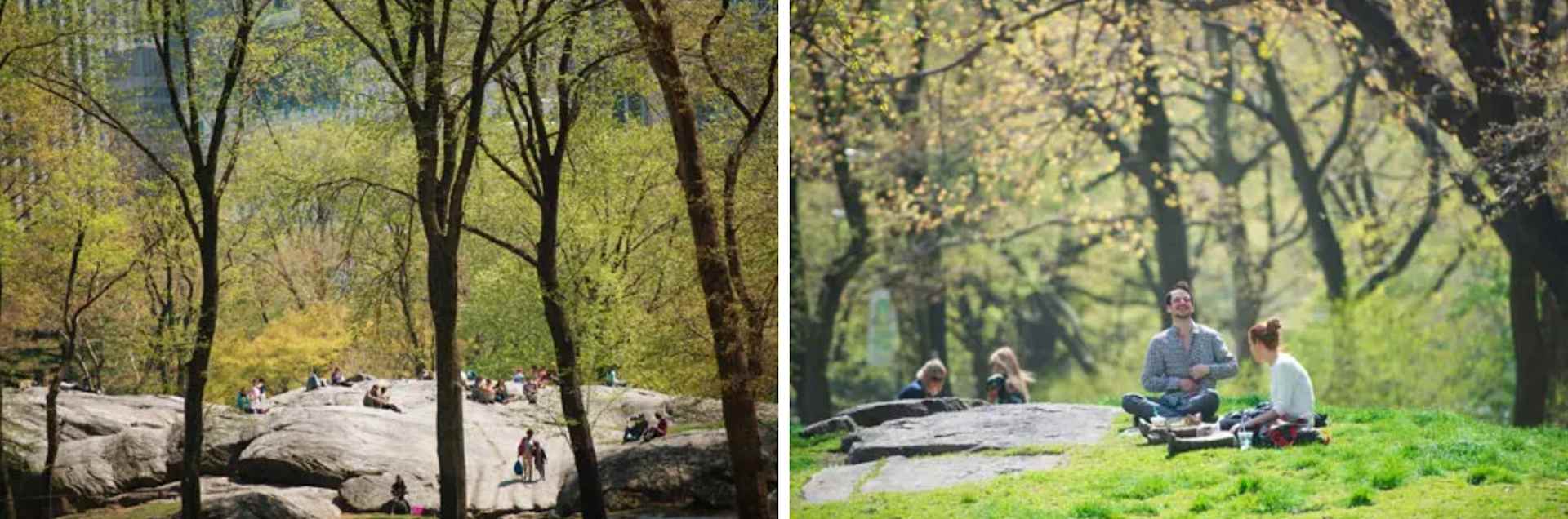 People relax on rocky outcrops and picnic on the grass beneath spring trees in an urban park.
