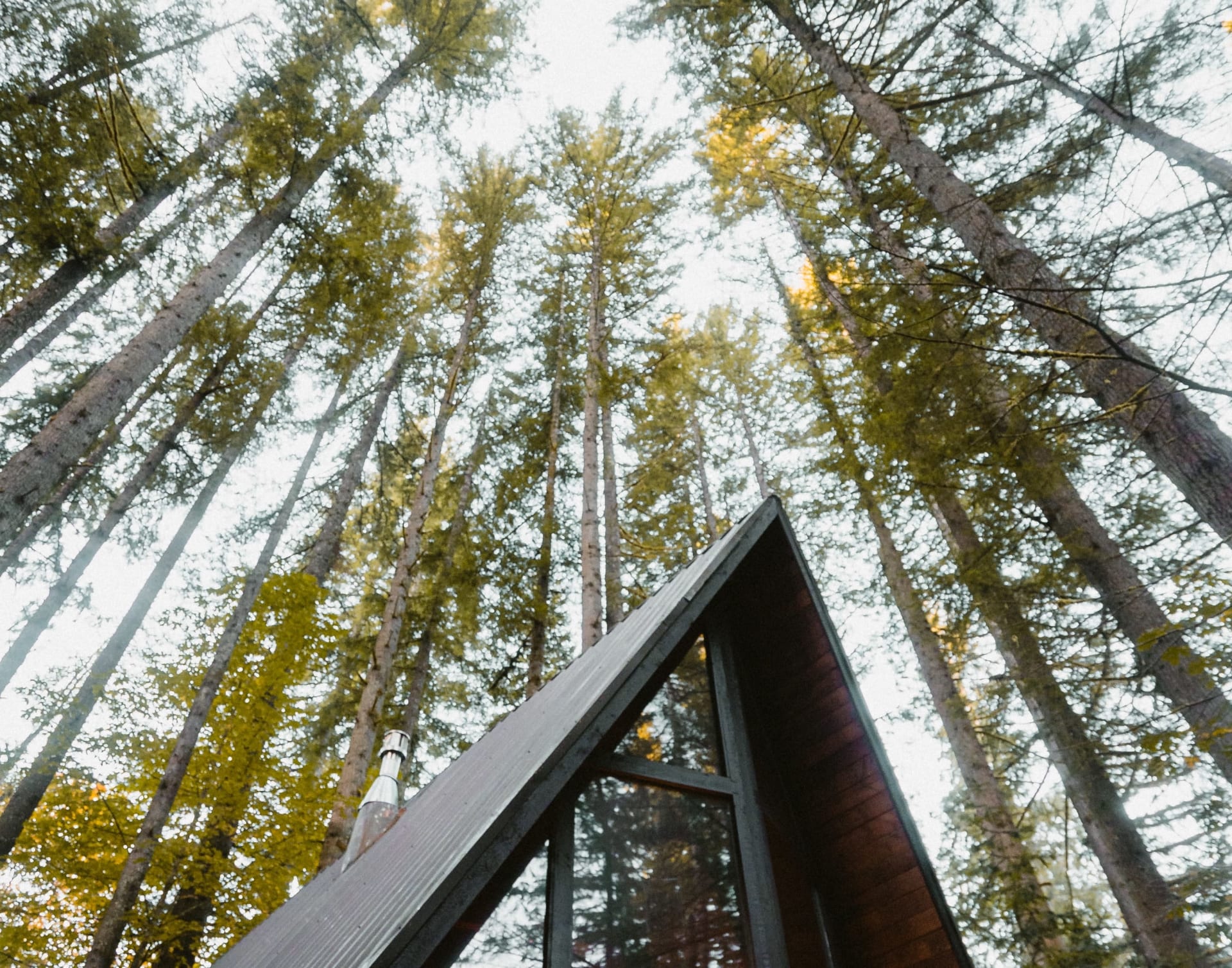 Compass Advantage Derek Buse Bellingham Real Estate Specialist