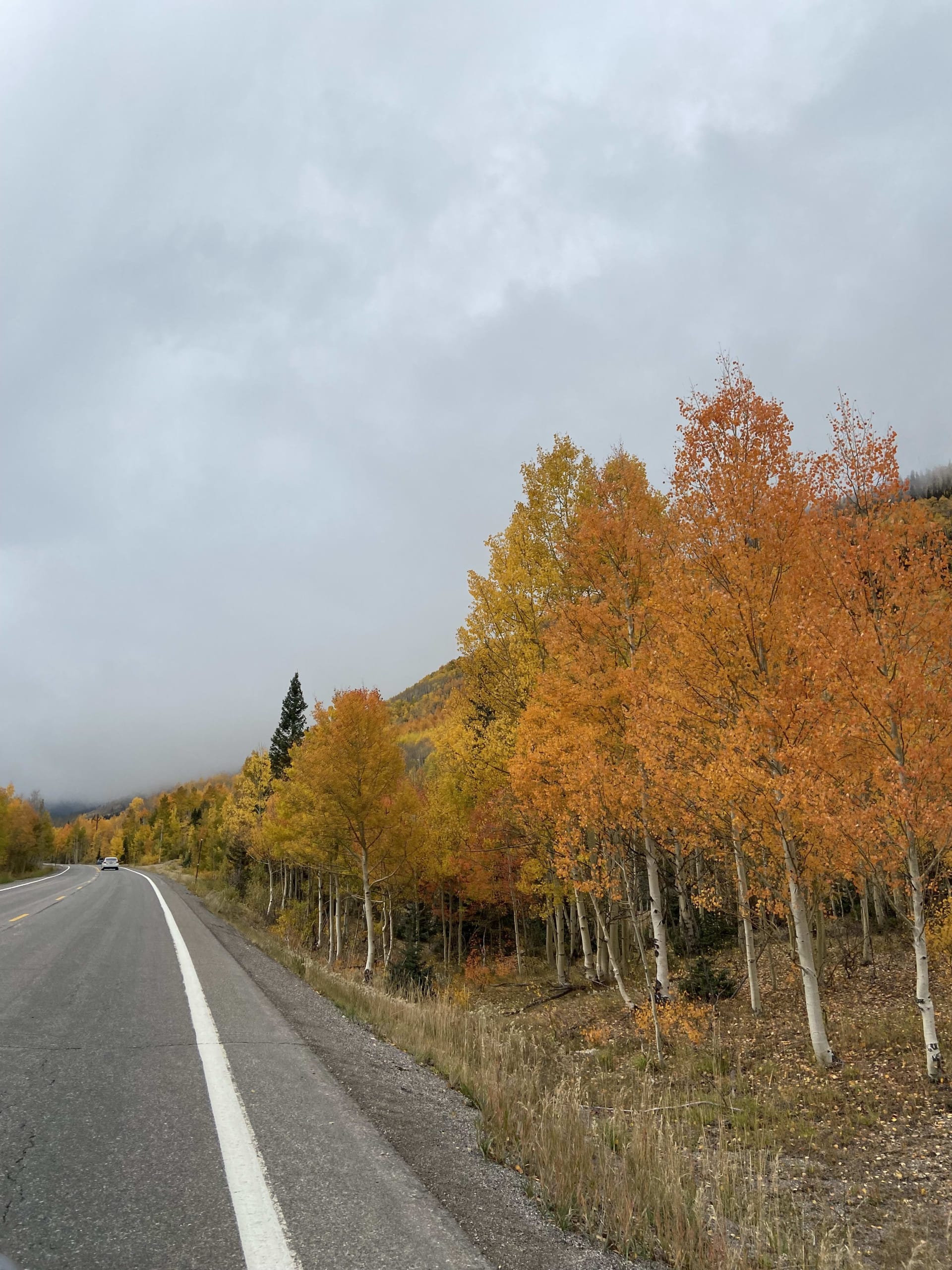 Fall Colors on the San Juan Scenic Byway