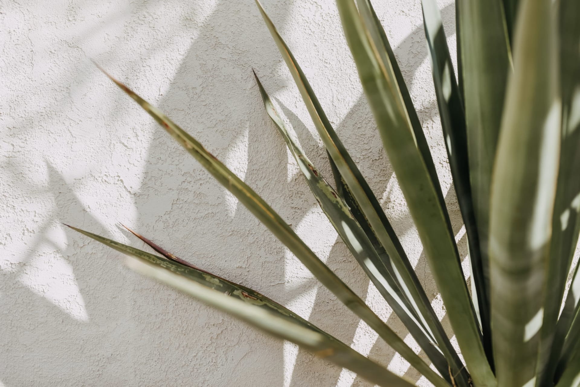 Veeravalli Team Bay Area Residential Real Estate Specialists