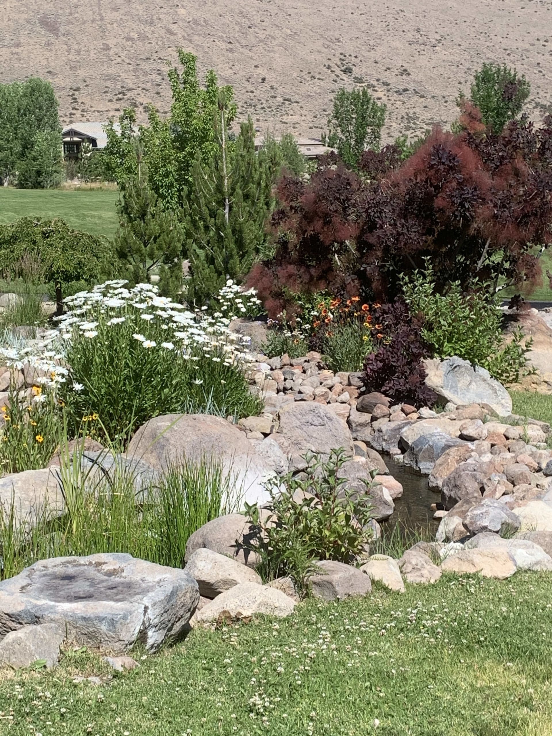 ArrowCreek Neighborhood Guide The Burow Team