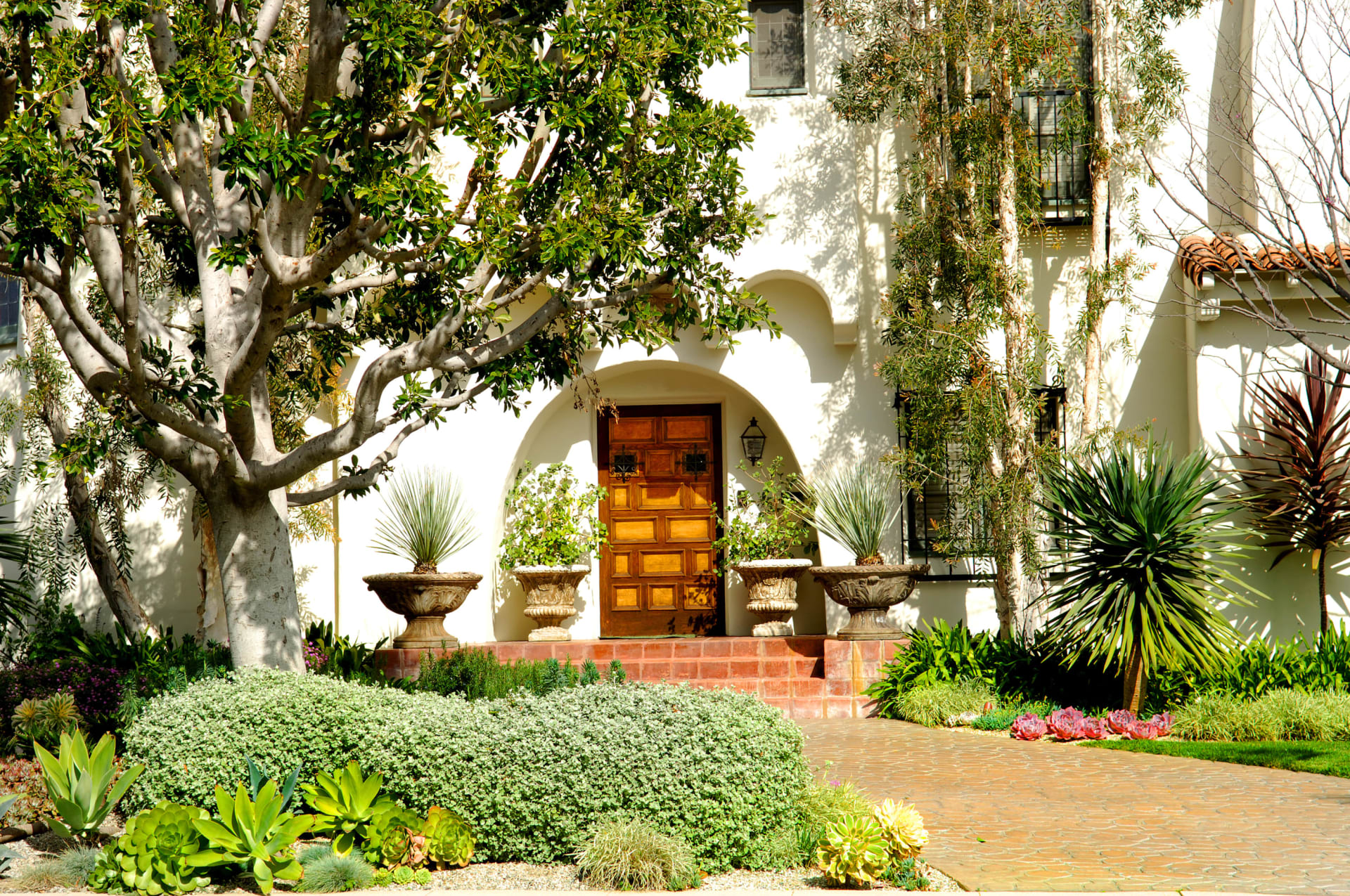 Buyer's Guide Paul Zuvella Danville Real Estate Agent