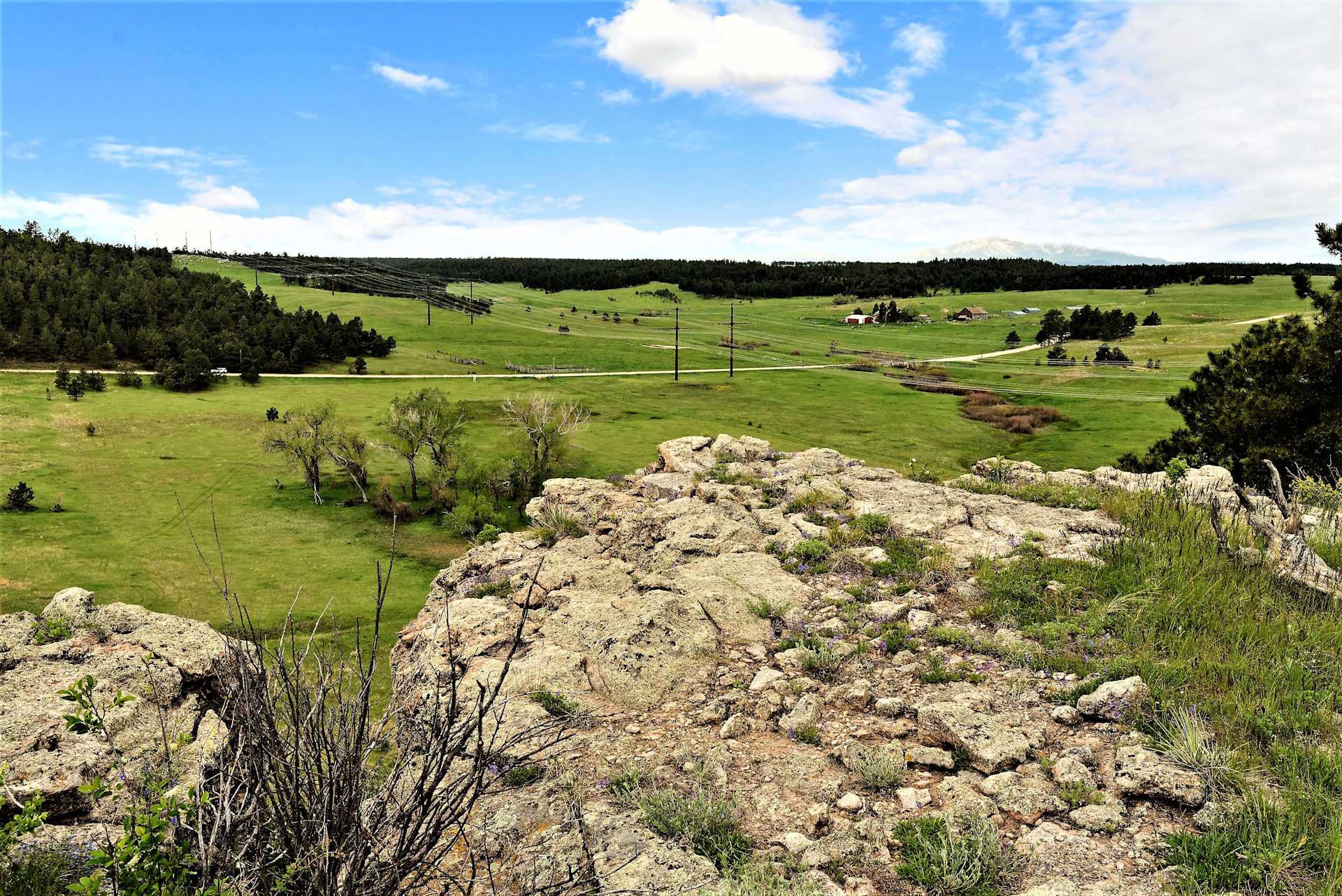 Black Forest, CO Real Estate & Homes For Sale Michael Turner Team