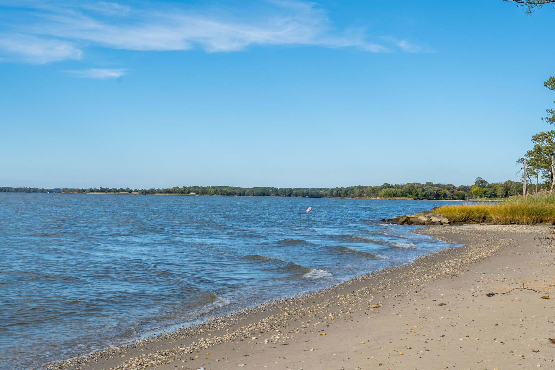 Cornelia C. Heckenbach St. Michaels Real Estate Agent