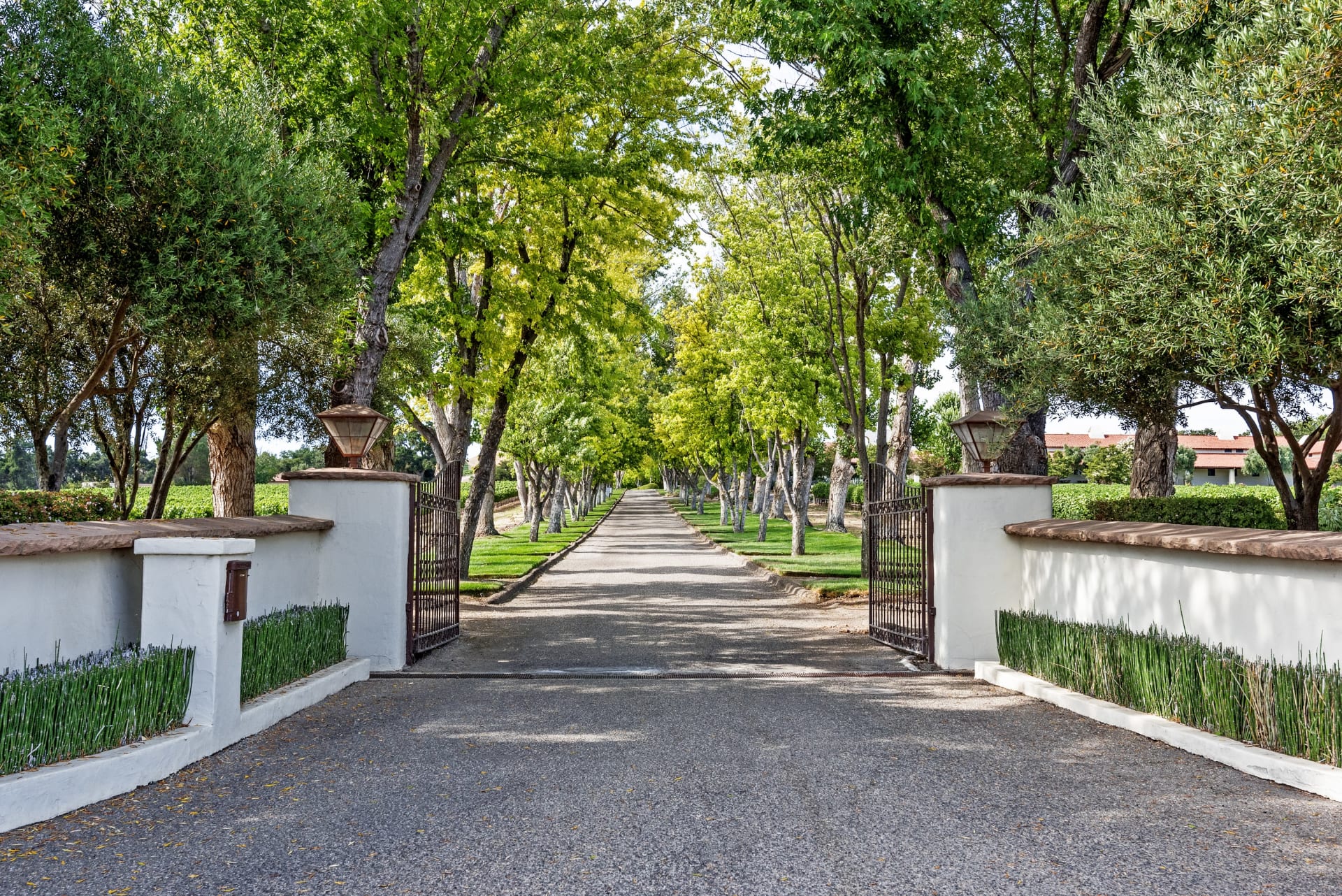 Napa Valley with the Experts Avi Strugo Napa Valley Real Estate Agent