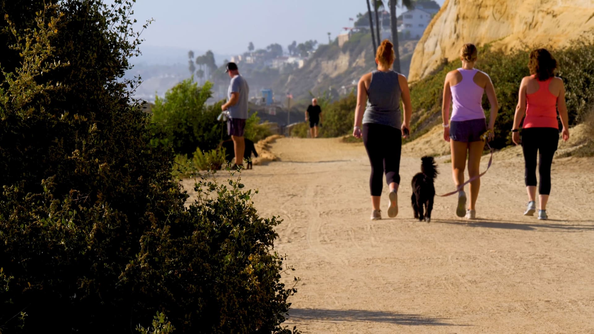 Three women on a walk on a sandy beach trail with a dog near the beach