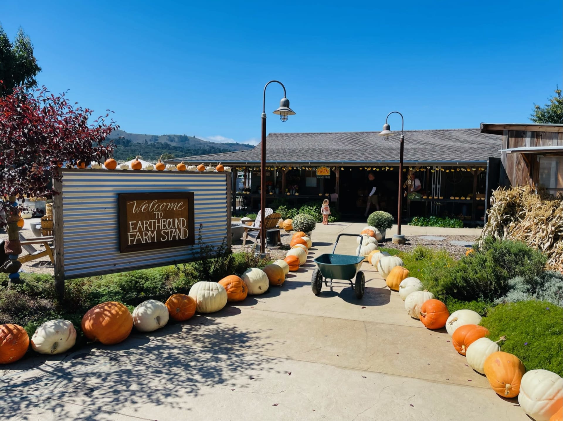 Organic Sweet & Crisp Little Gems - Earthbound Farm