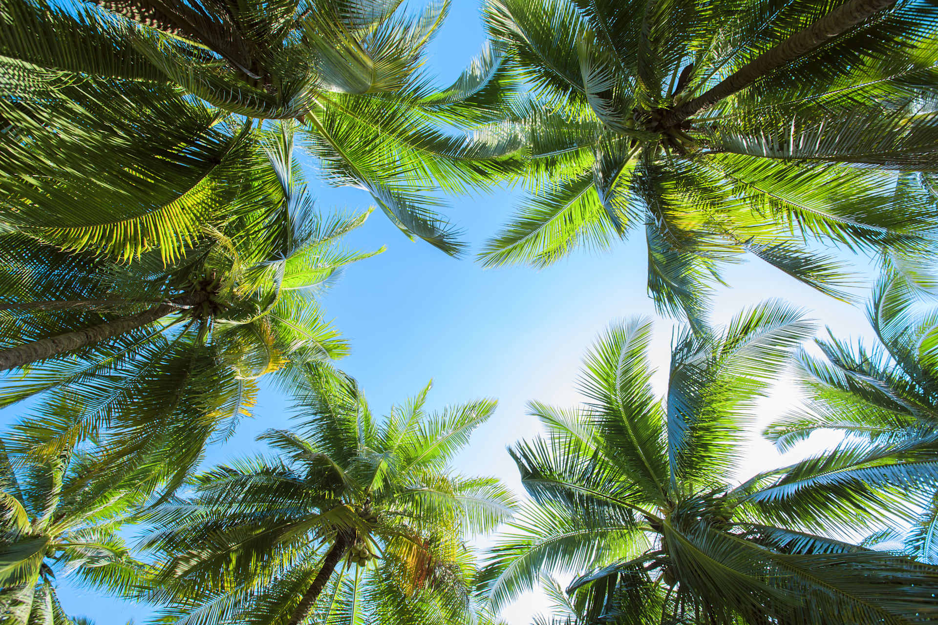 Evolve Property Group Central Florida Real Estate Advisors