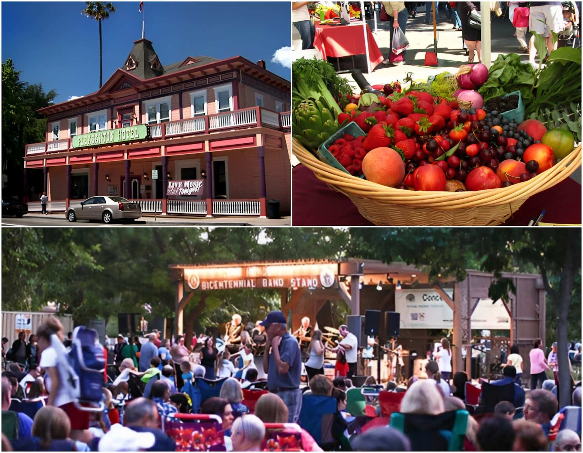 Pleasanton, CA Community Guide Tim Mcguire Team