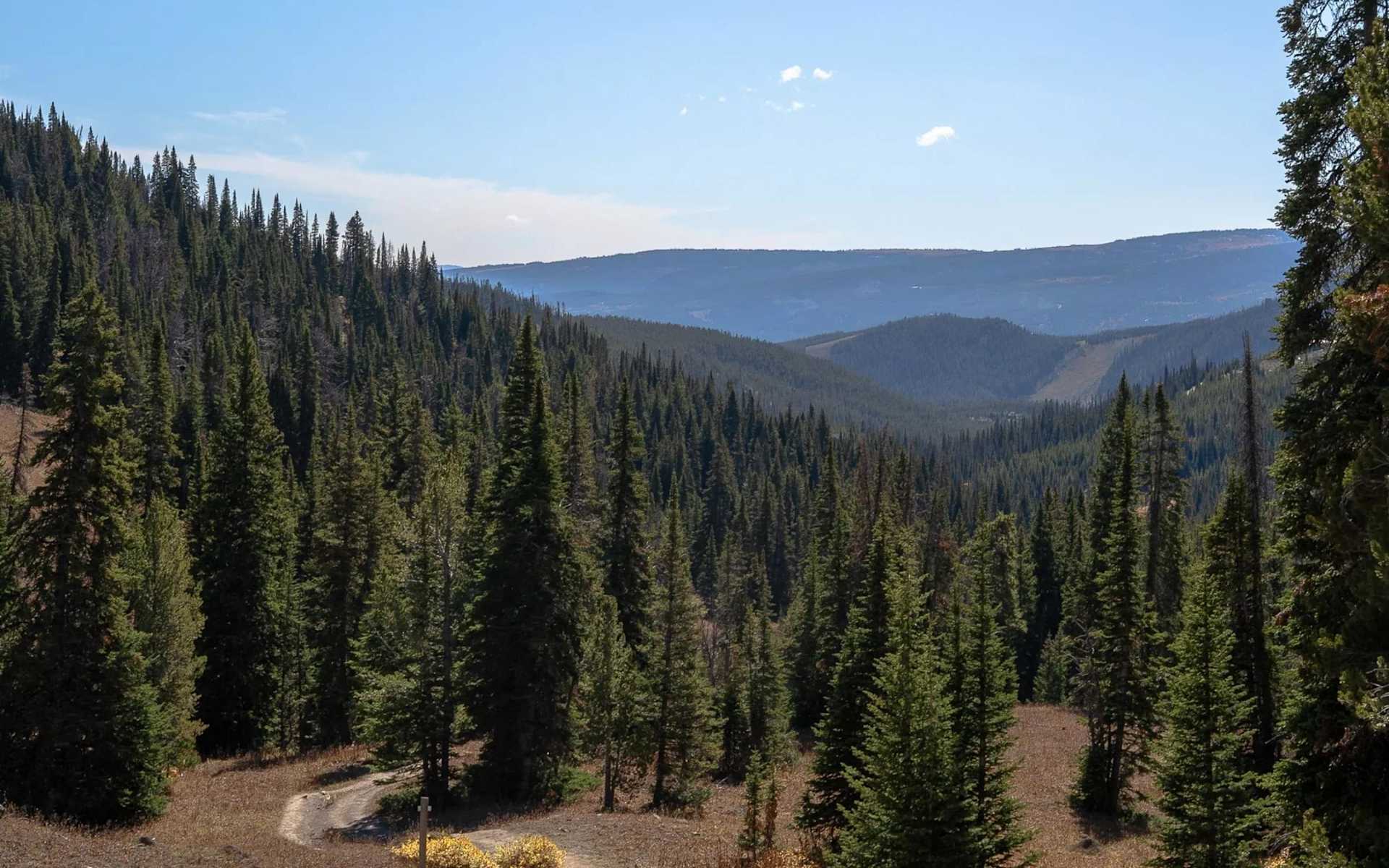 Explore now Greater Sandpoint Info Cindy Bond