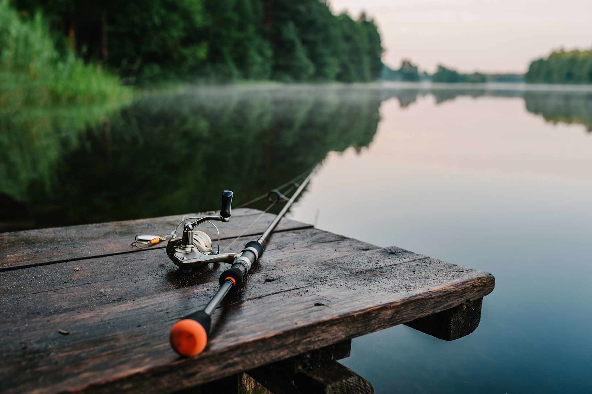Fishing Pole at A Pond
