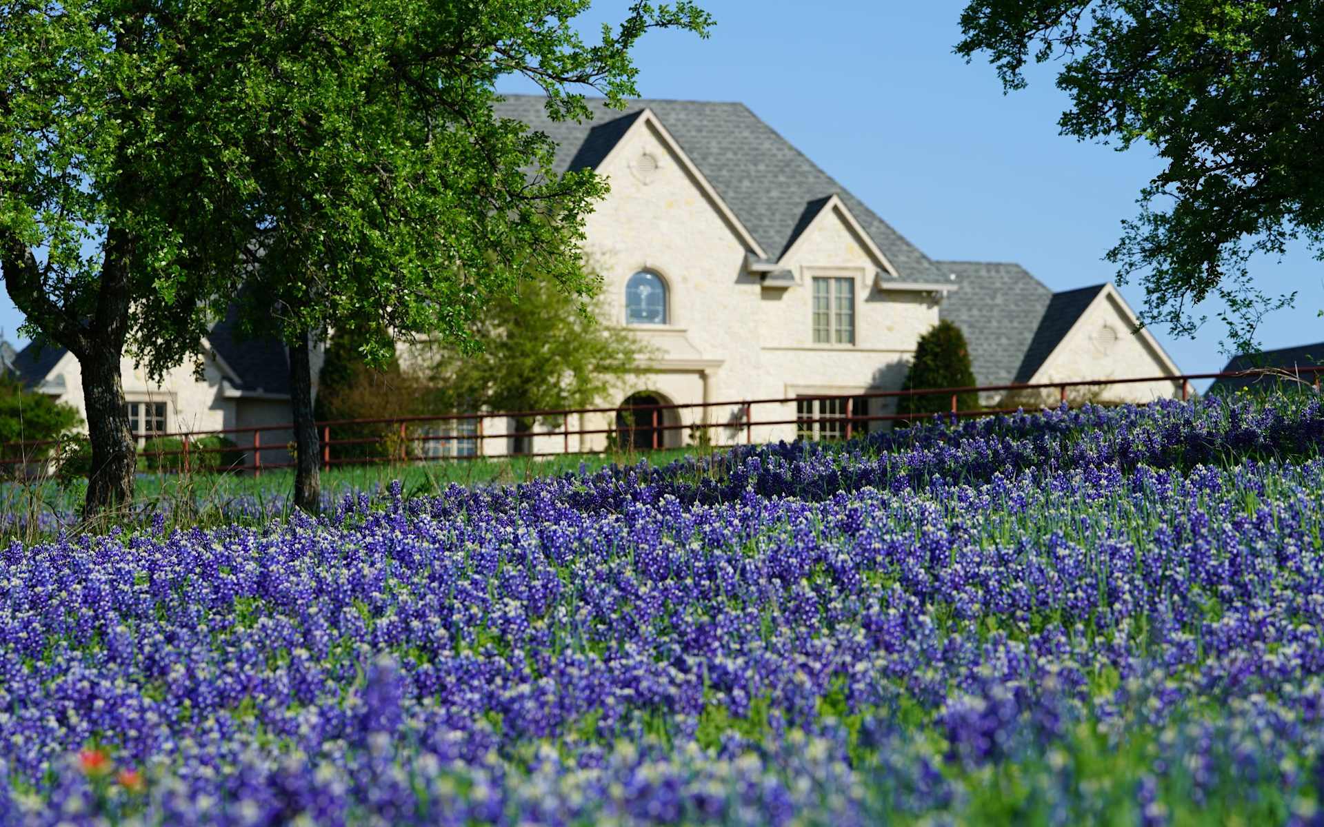 Discover Best Places to Live in Texas | Robin Bailey