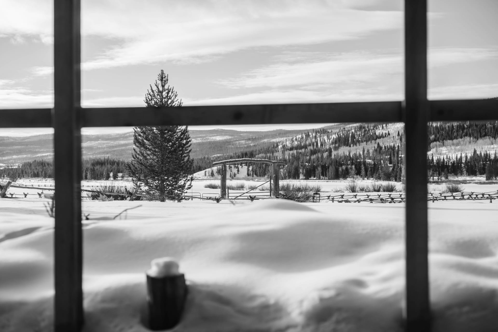 living-local-icuss-group-jackson-hole-chicago-real-estate-experts