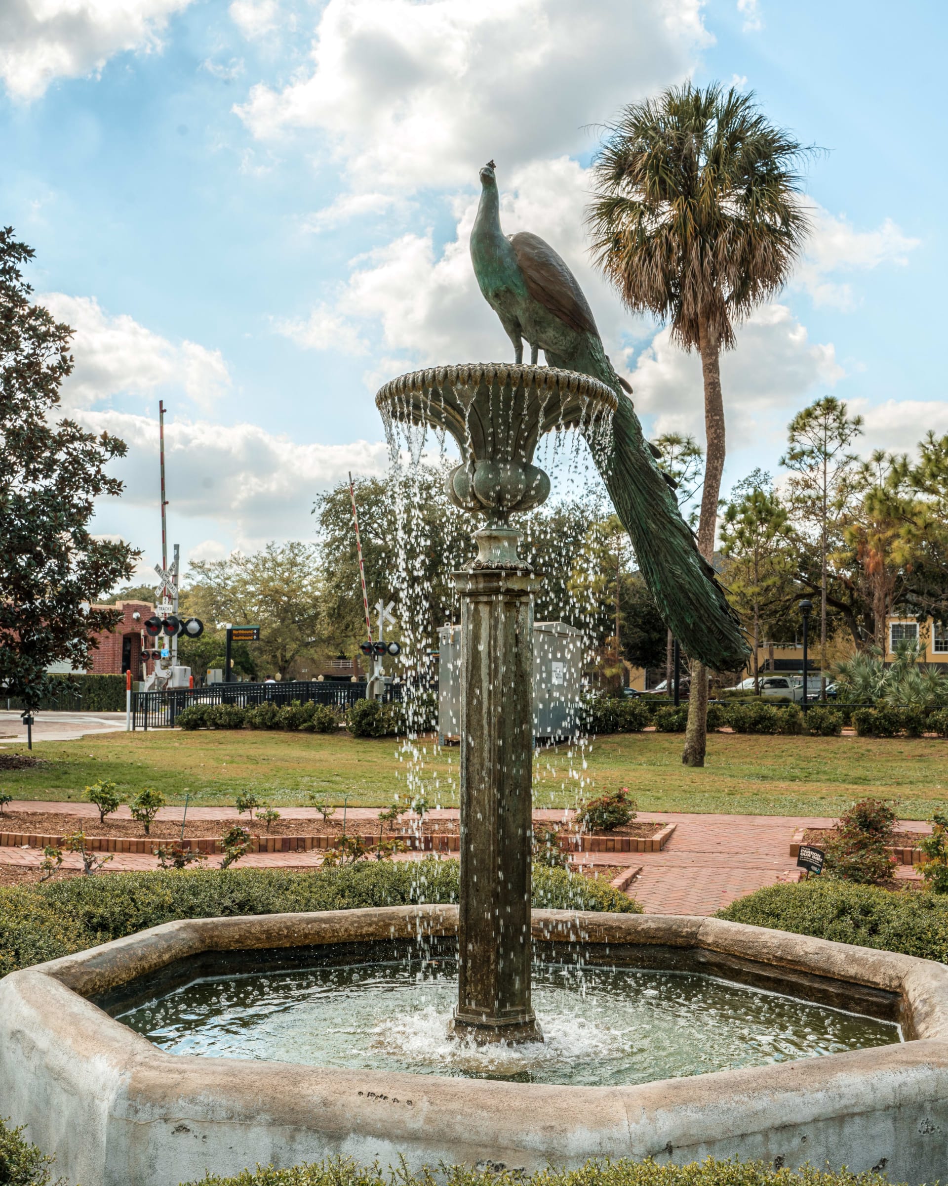 Fountain with peacock sculpture in a park