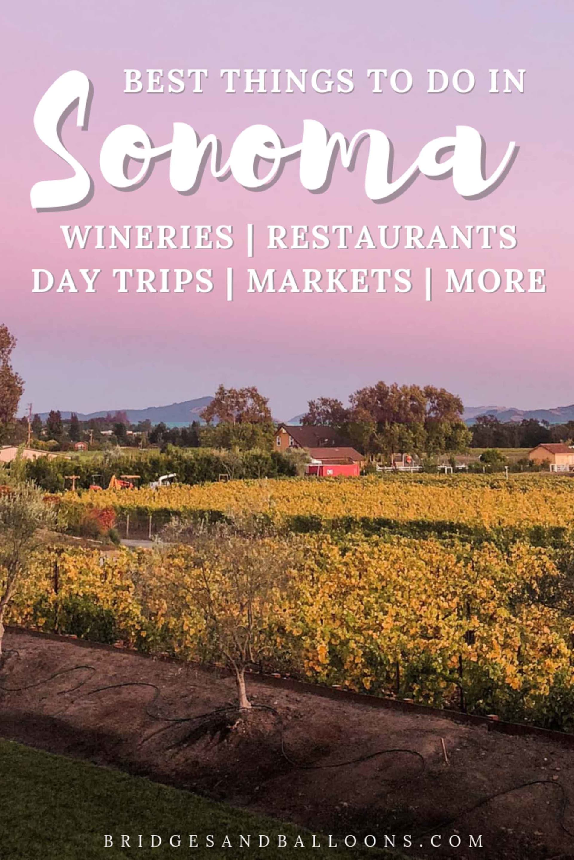 19 Unmissable Things to Do in Sonoma County, California, Blog, Lorene  Campi