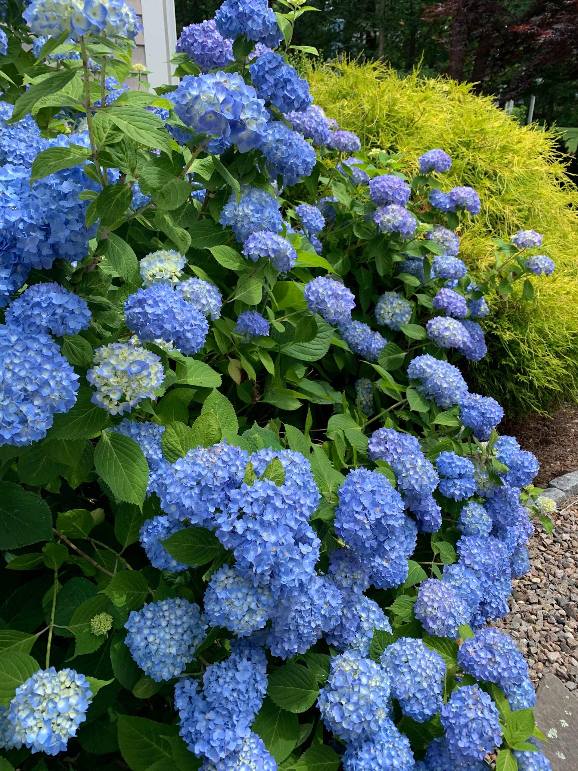 Portfolio North Eastham Real Estate Expert Denise Kopasz