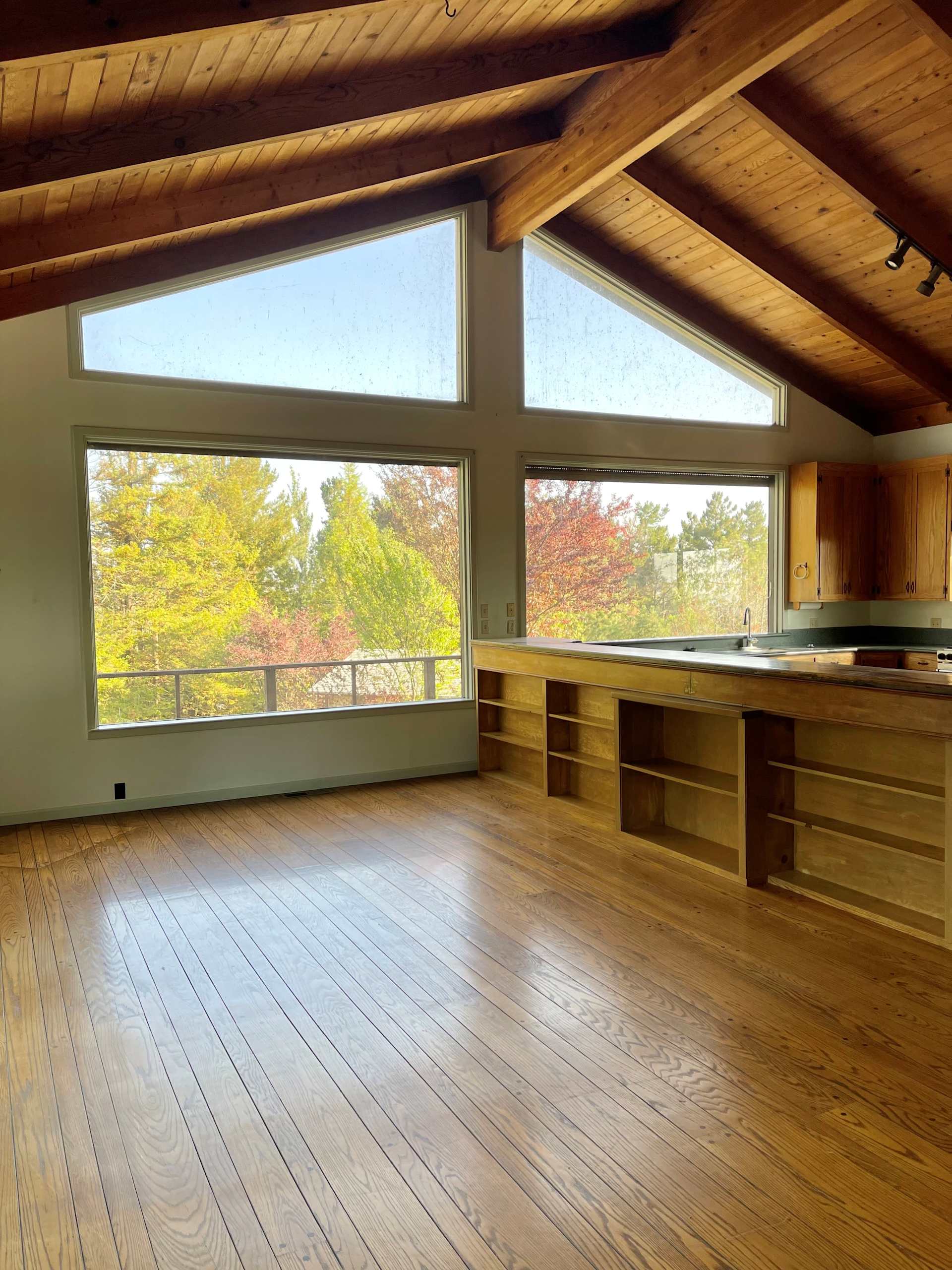 Vacant kitchen with a vaulted wood ceiling, wide windows, and built-in cabinetry overlooking autumn trees.