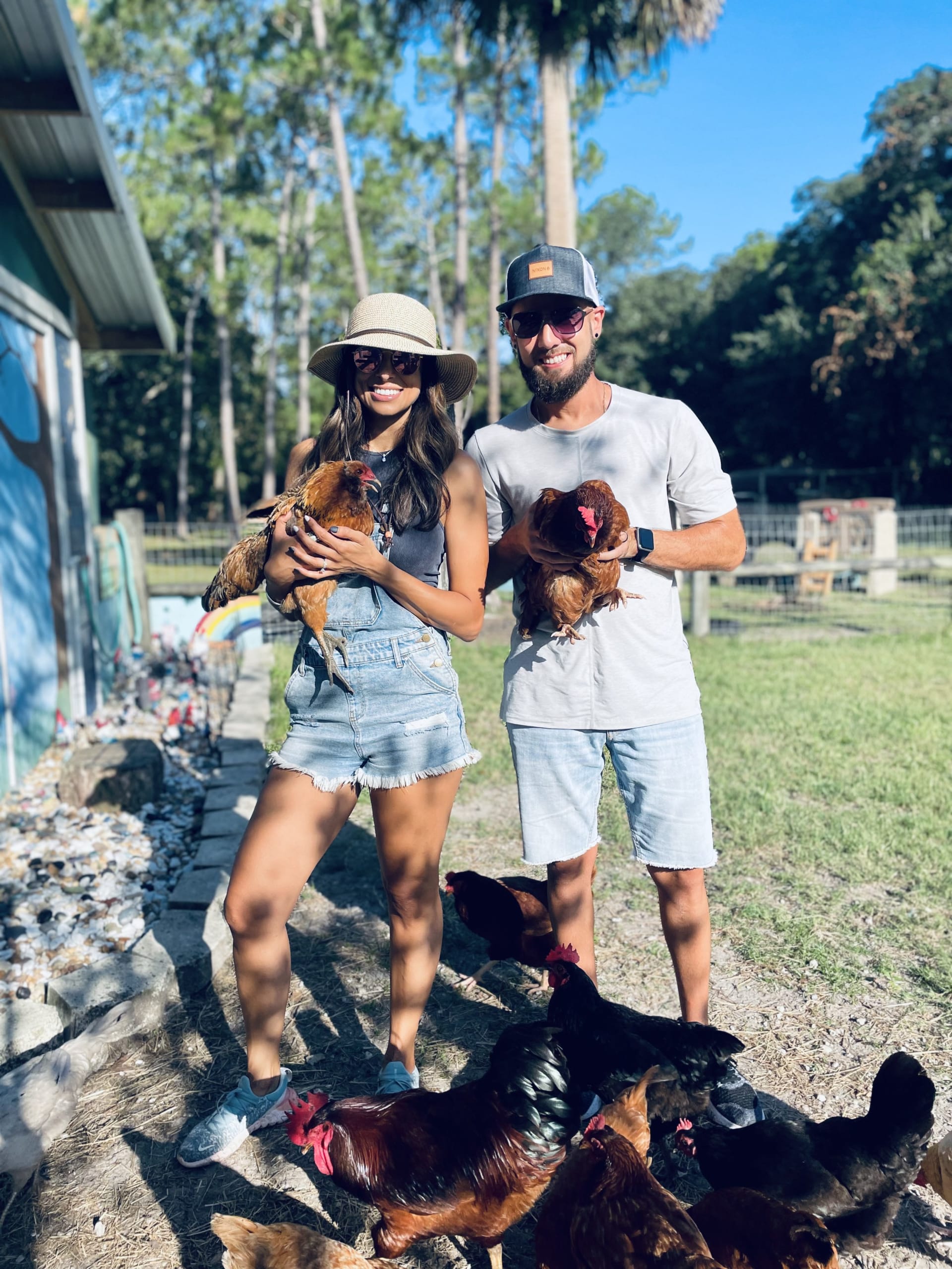 feeding chickens at greenacres farm in oviedo, fl