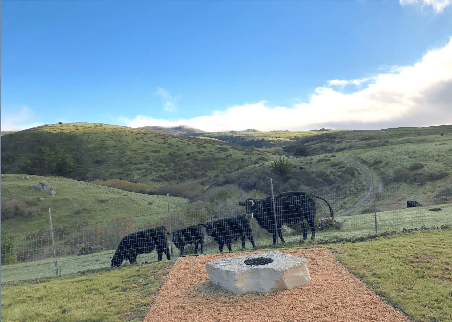 About Harbor View At Bodega Bay