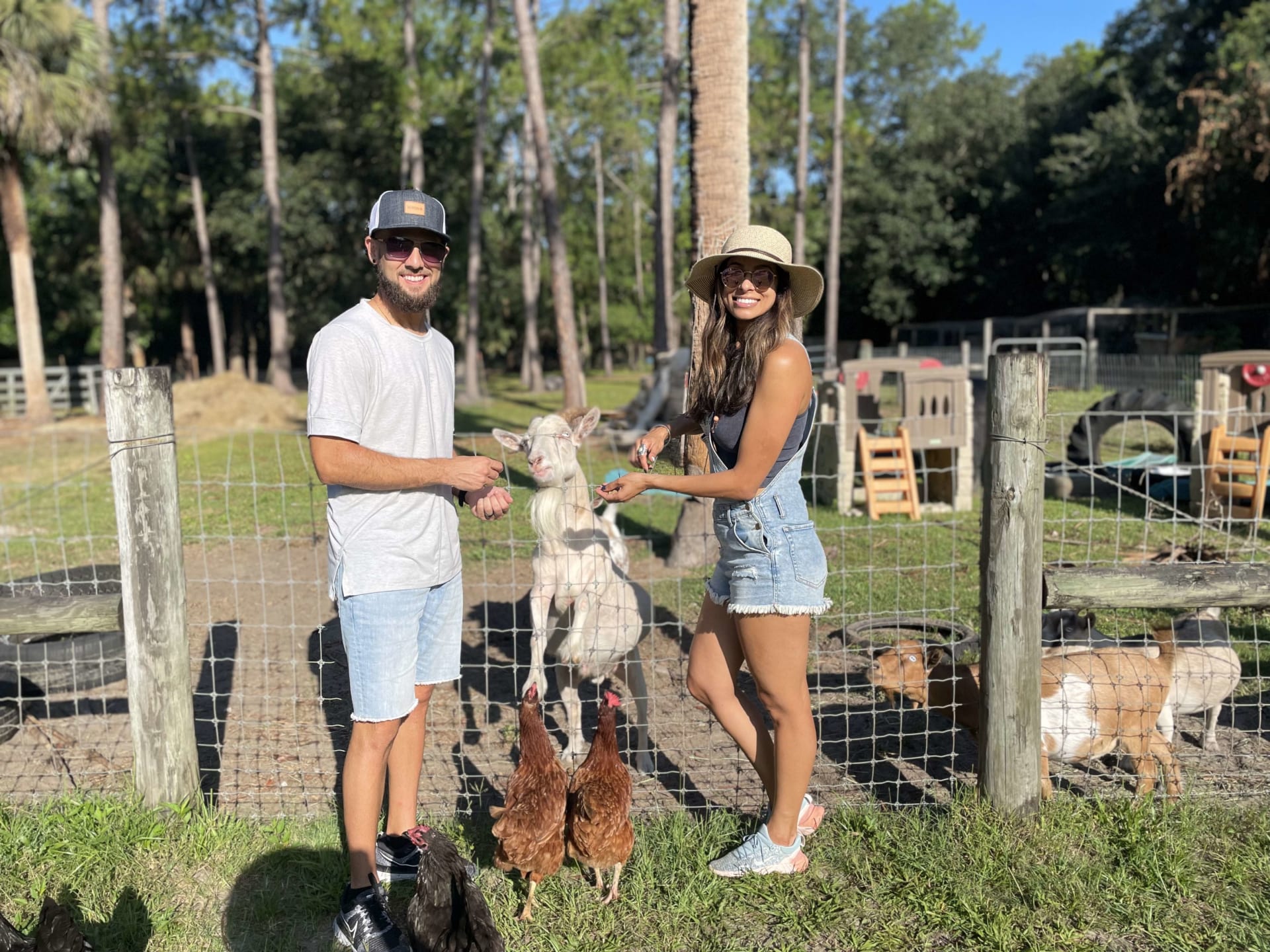 feeding goats at greenacres farm in oviedo, fl