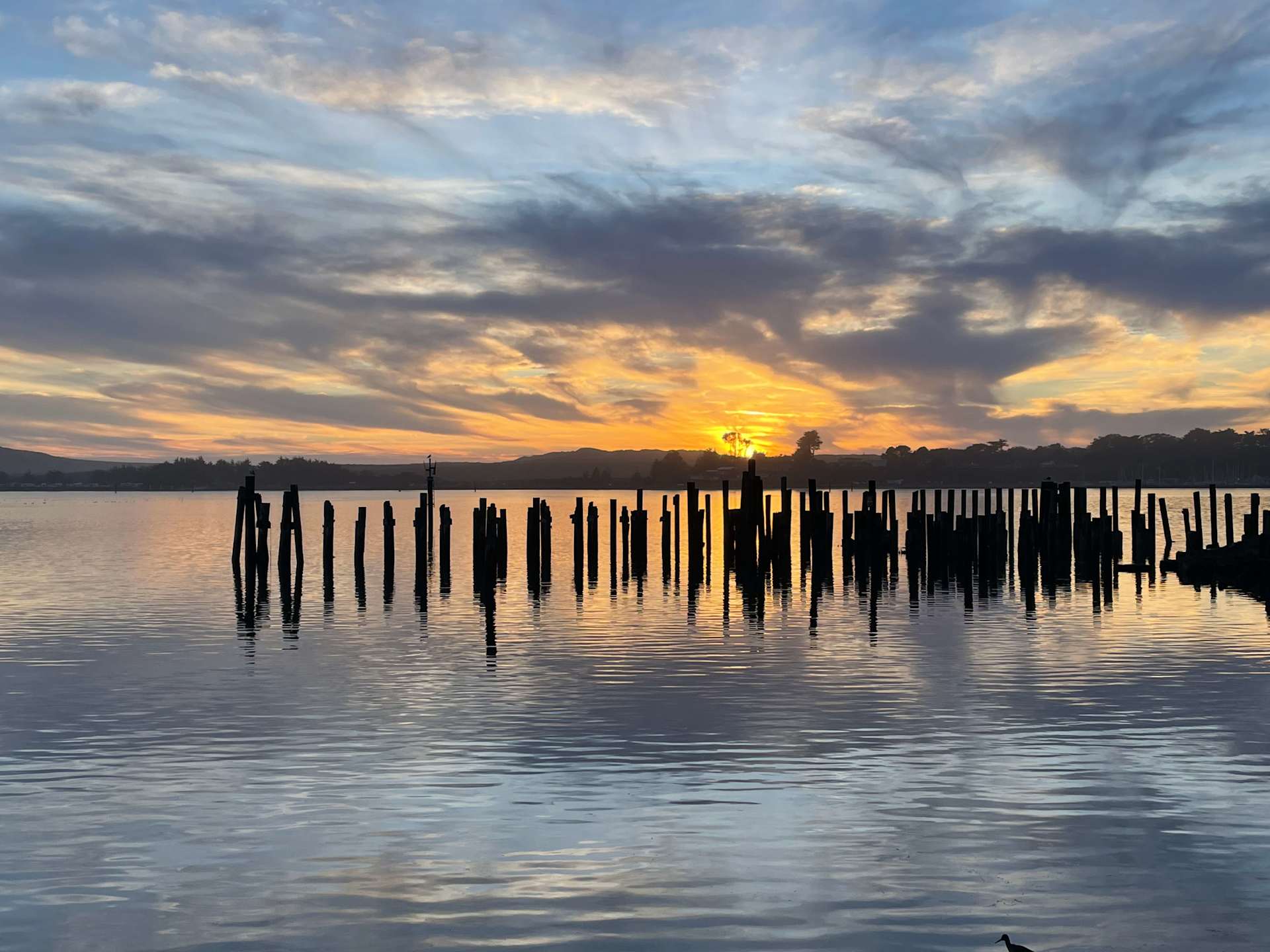 Coastal Agent Premier Bodega Bay Real Estate Agents