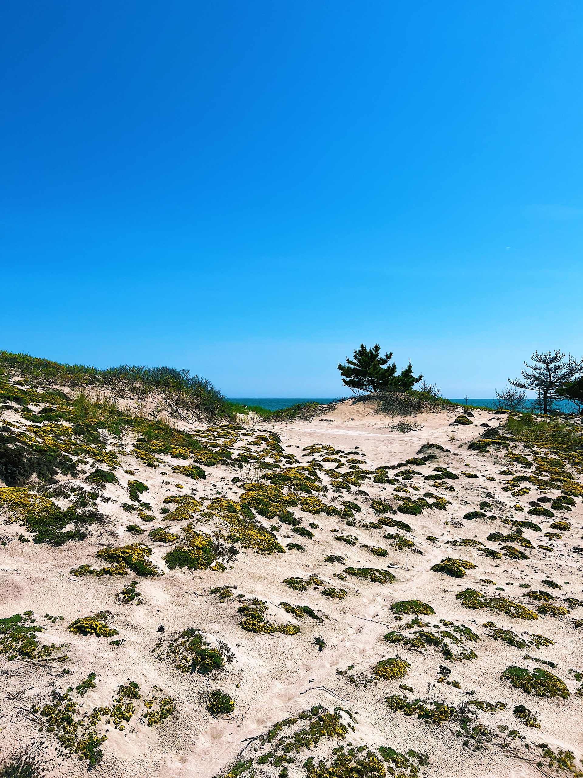 Old Purchase Properties Bellport Real Estate Experts