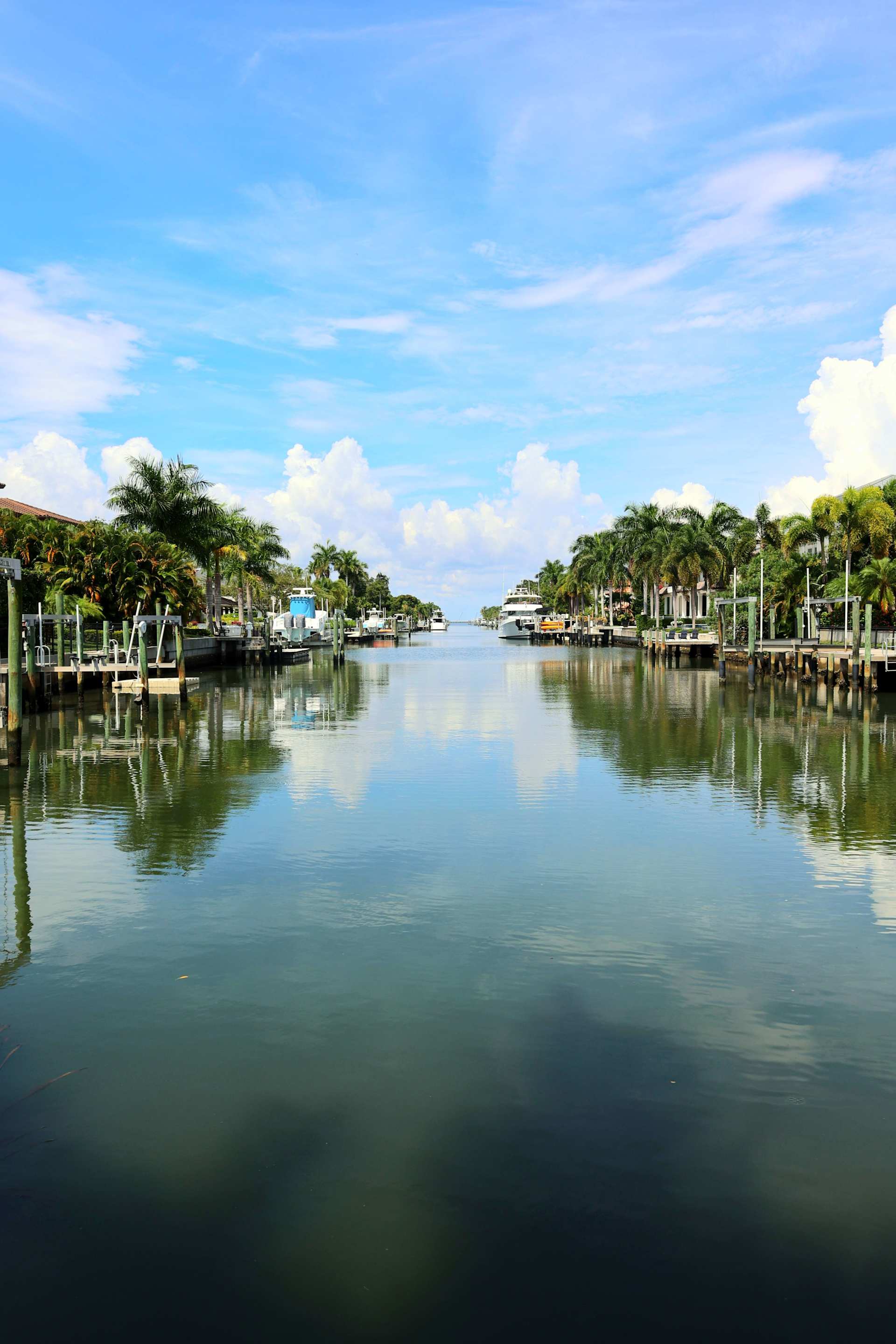 Tampa Luxury Real Estate Team The Sails Team