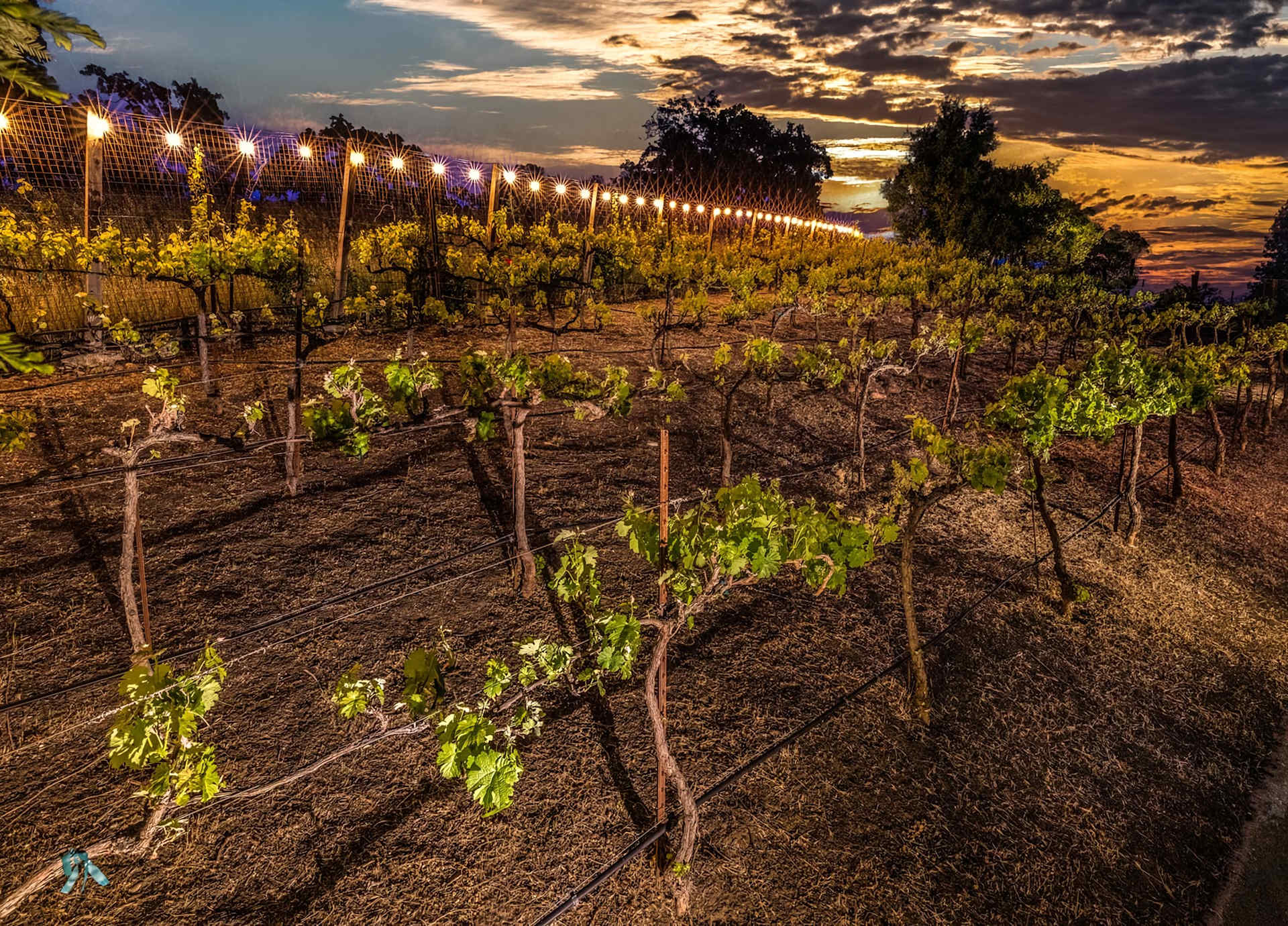 Best Places to Live in Danville, CA The Frazzano Tse Team