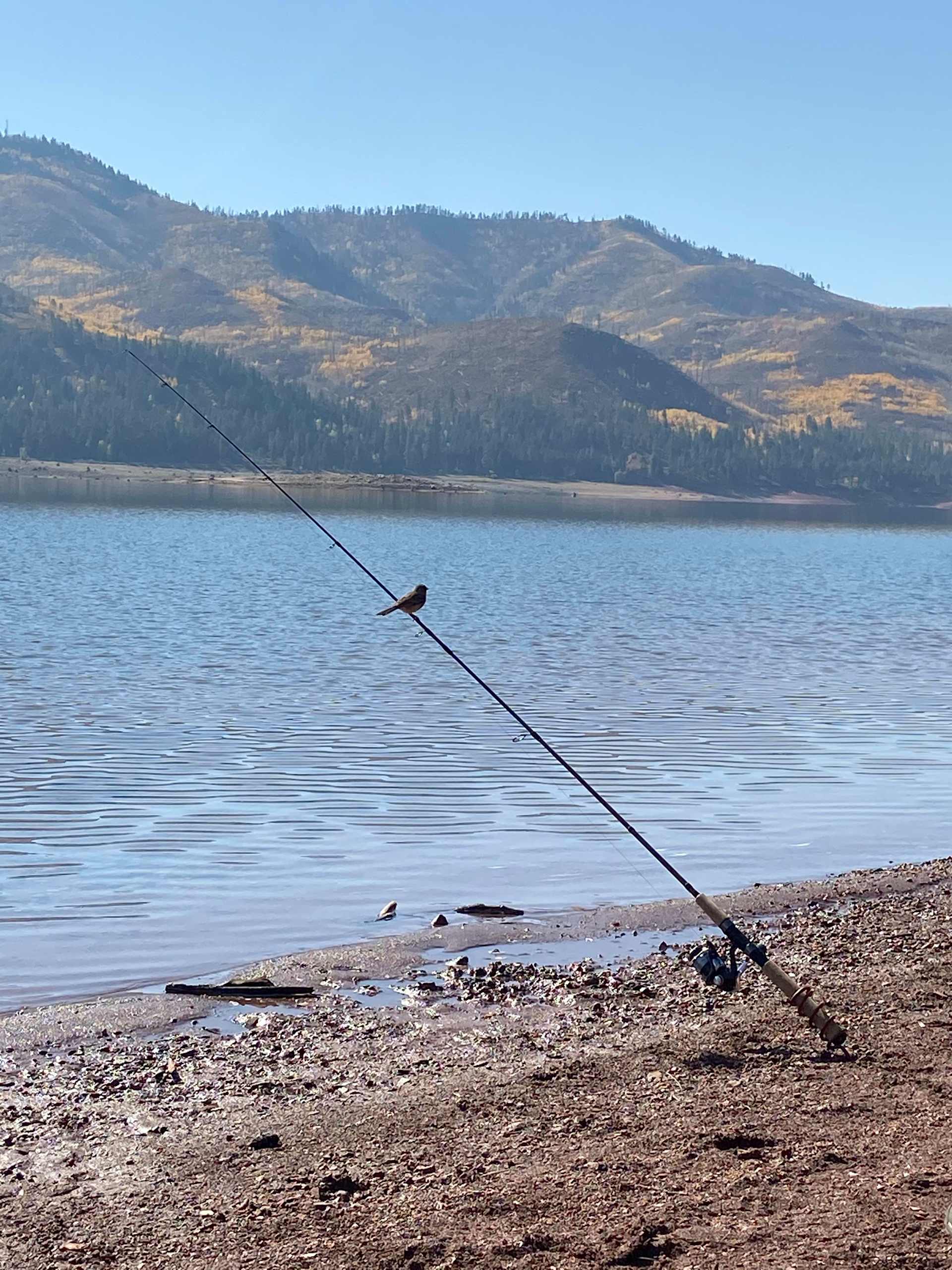 Lemon Reservoir near Durango, CO