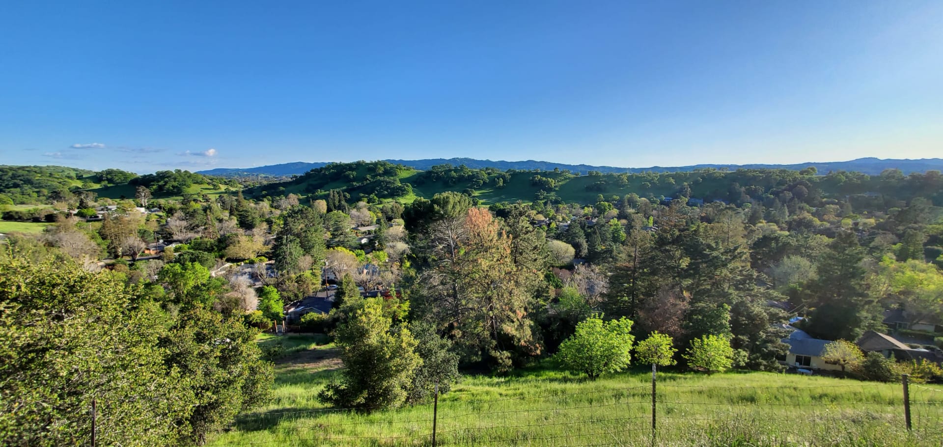 Walnut Creek Office RE/MAX Accord SF Bay Areal Real Estate Agents