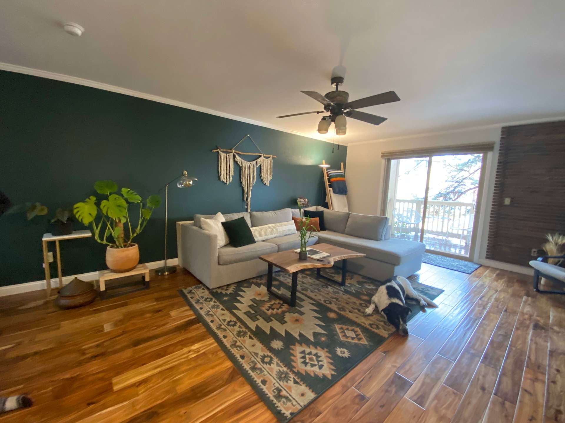 living room with a dark green wall that has a grey couch pushed against it, a natural wood coffee table sit atop an aztec print rug with a dog in front of the coffee table