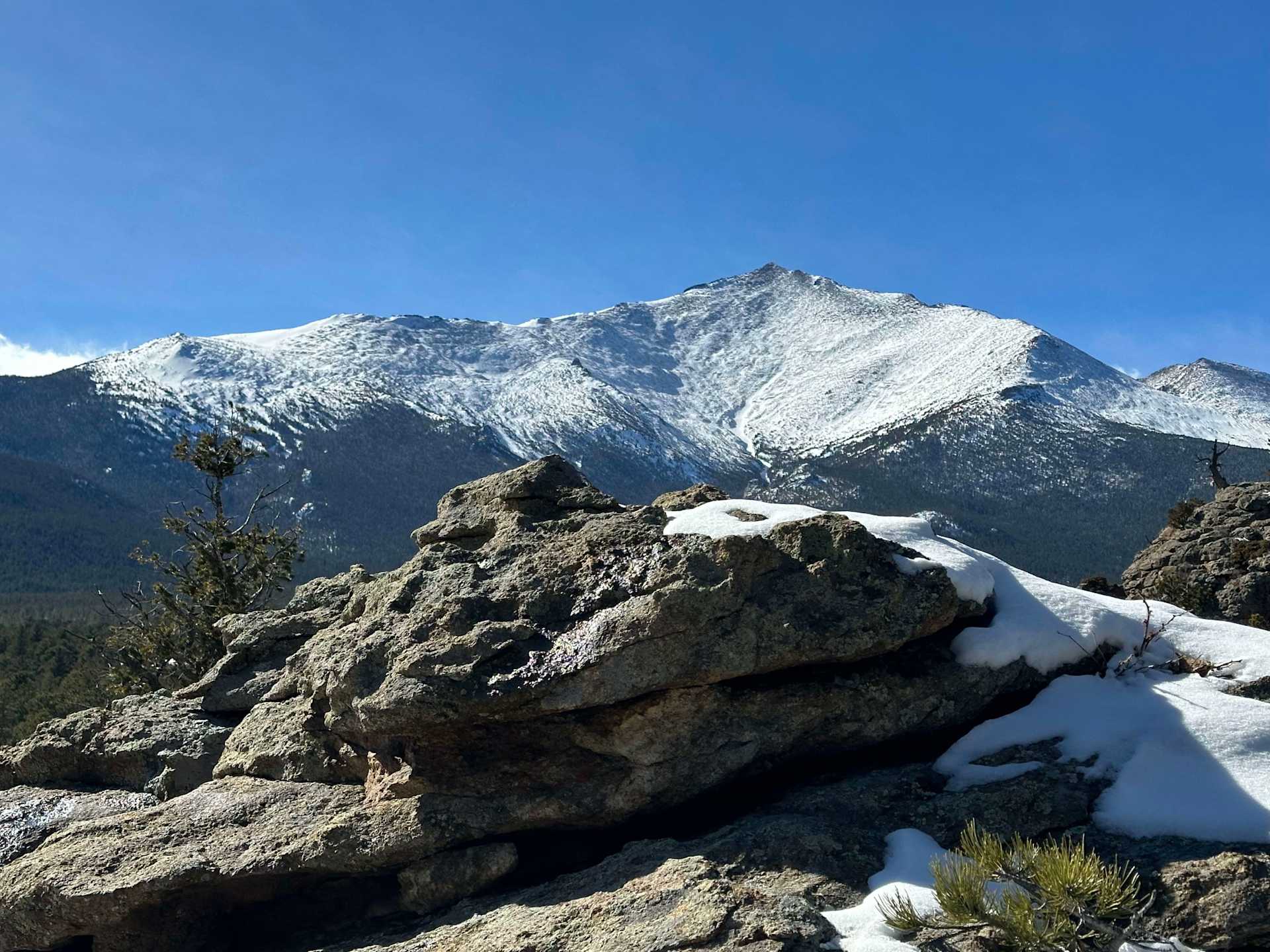 Browse Properties for Sale in Allenspark CO Tammy Ackerman