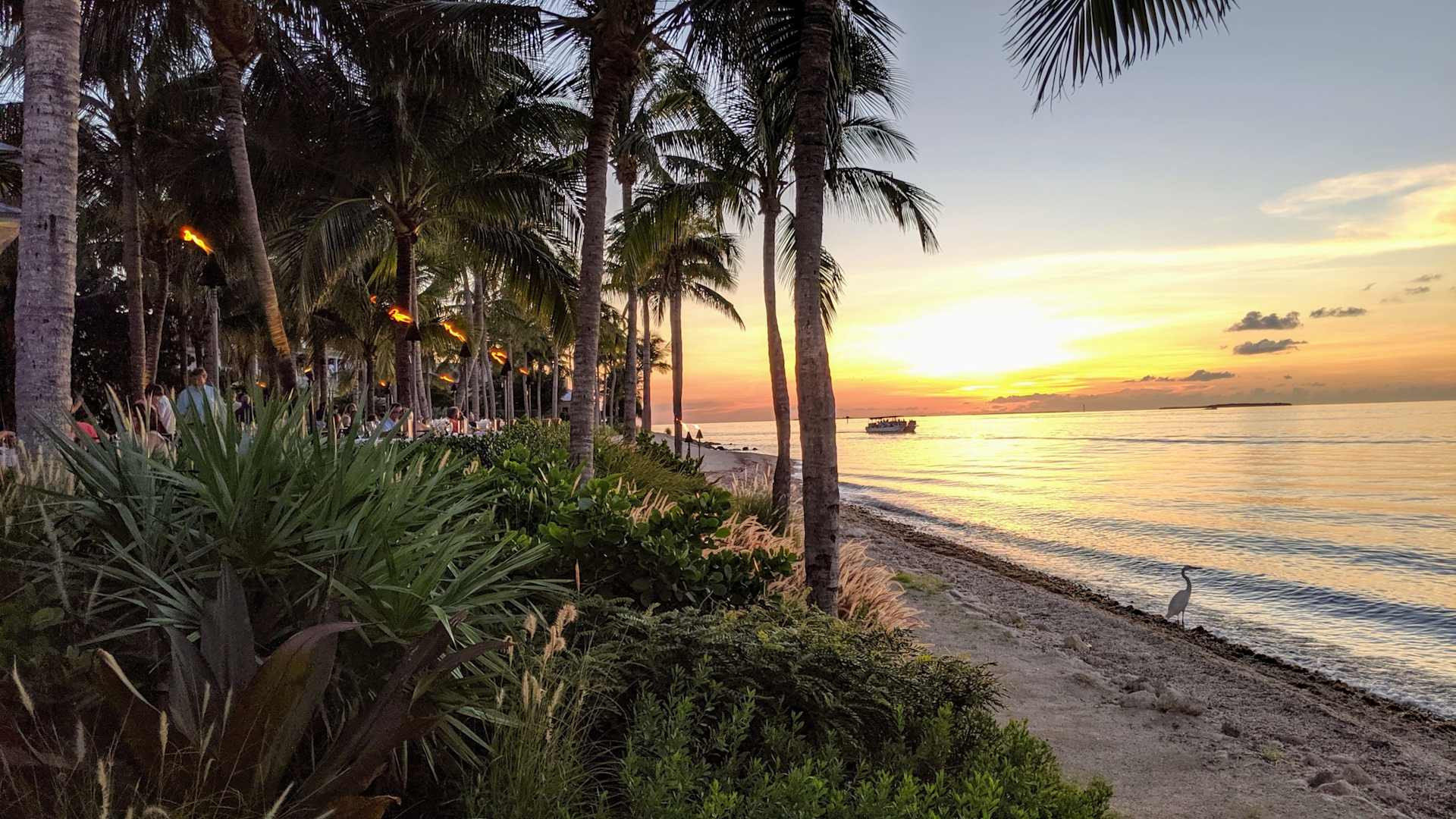 Beautiful beach with large palm trees in Sunset Key, Florida