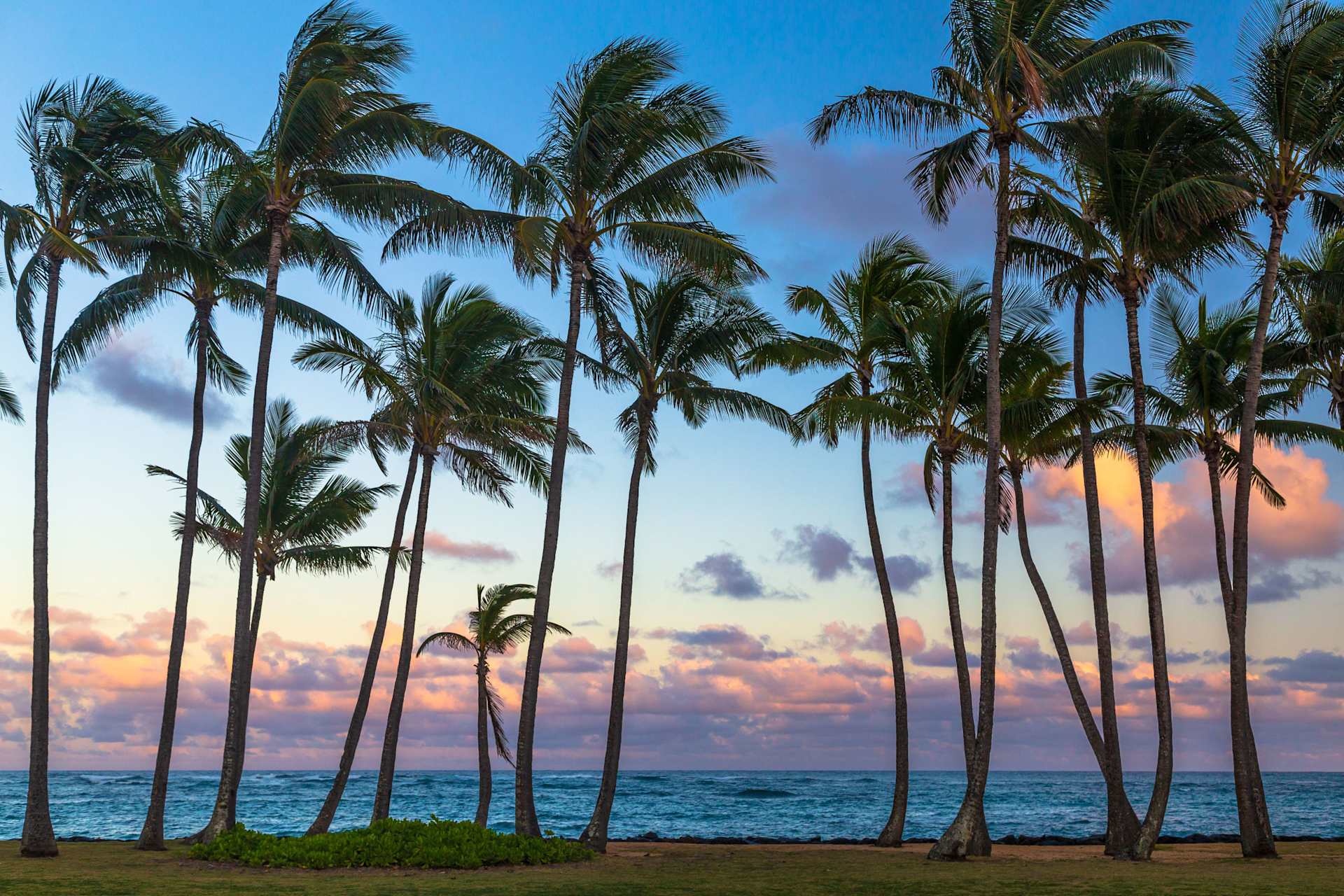 Kalaheo Homes for Sale & Real Estate