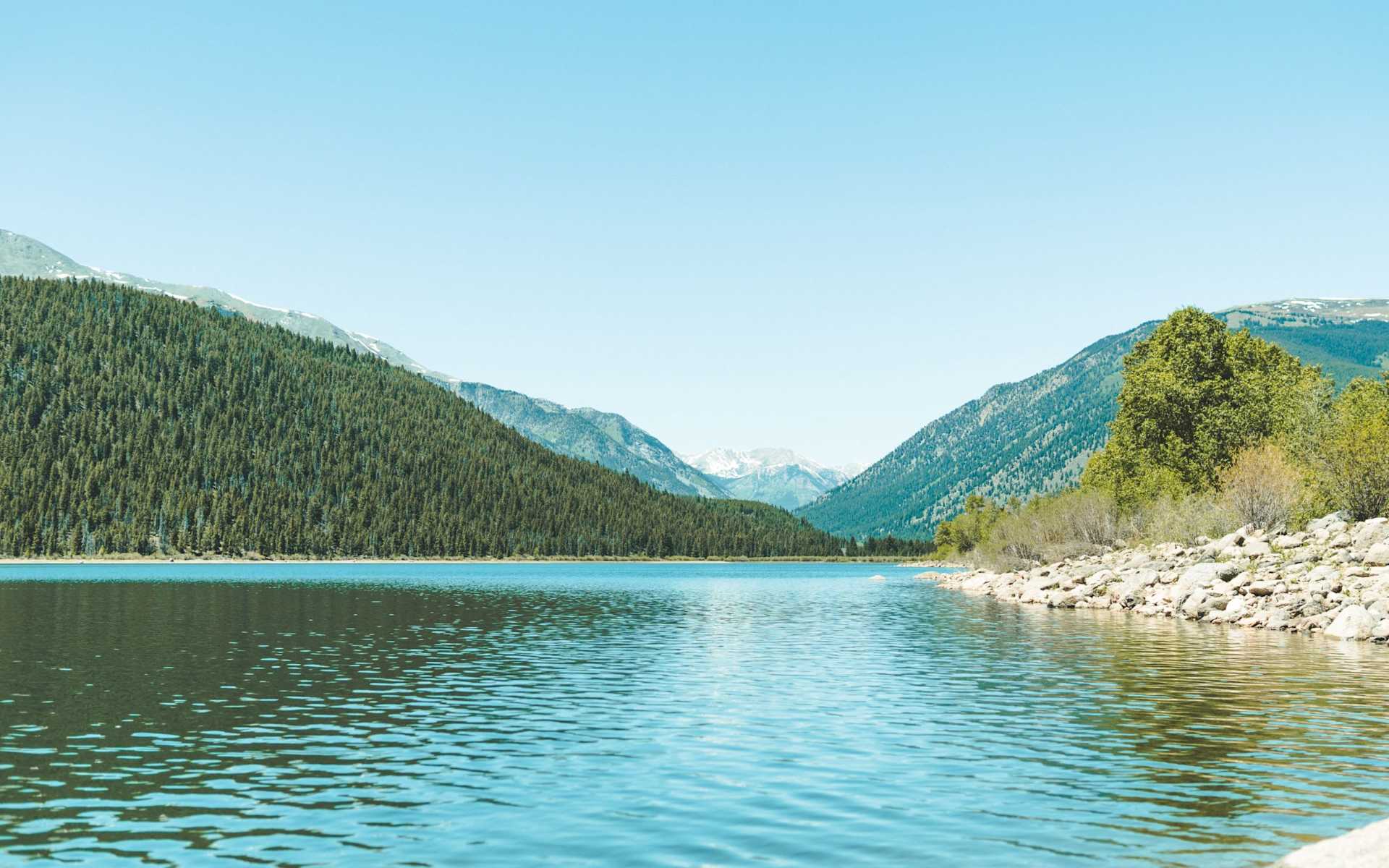 Meyers Real Estate Group Denver Real Estate Agent