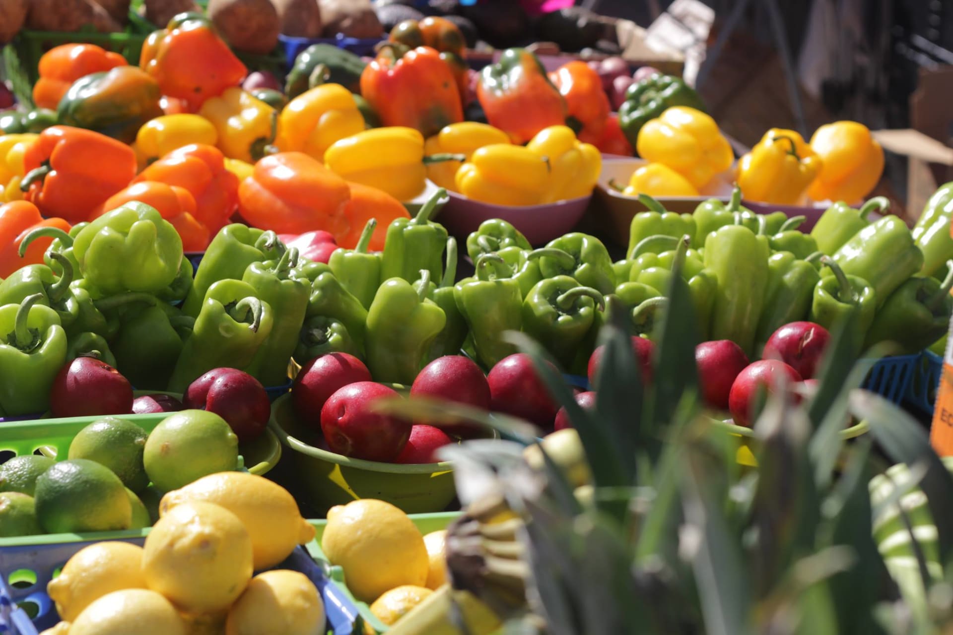 3rd Street Farmers & Market