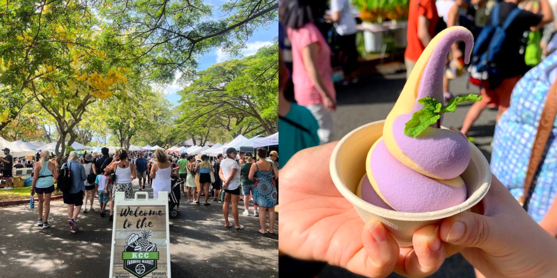 the most popular things to do in kaimuki