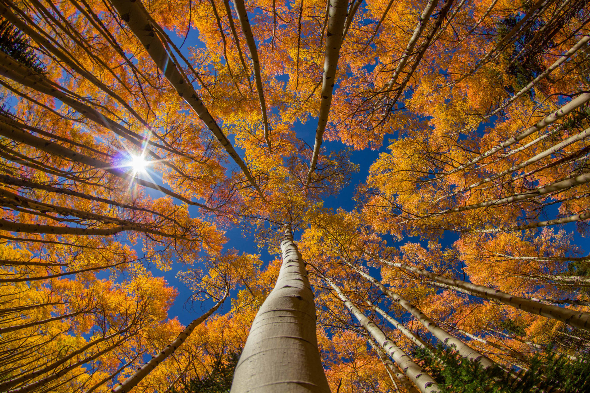 Colorado’s Markets Falling Back into Their Seasonal Rhythms