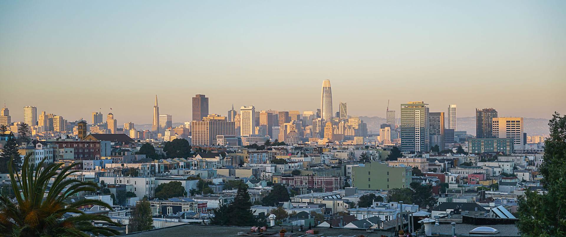 Ron Abta Polaris Realty