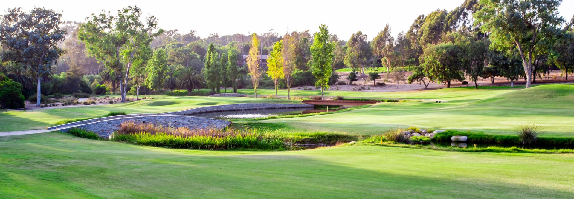 Golf Courses in Rancho Santa Fe
