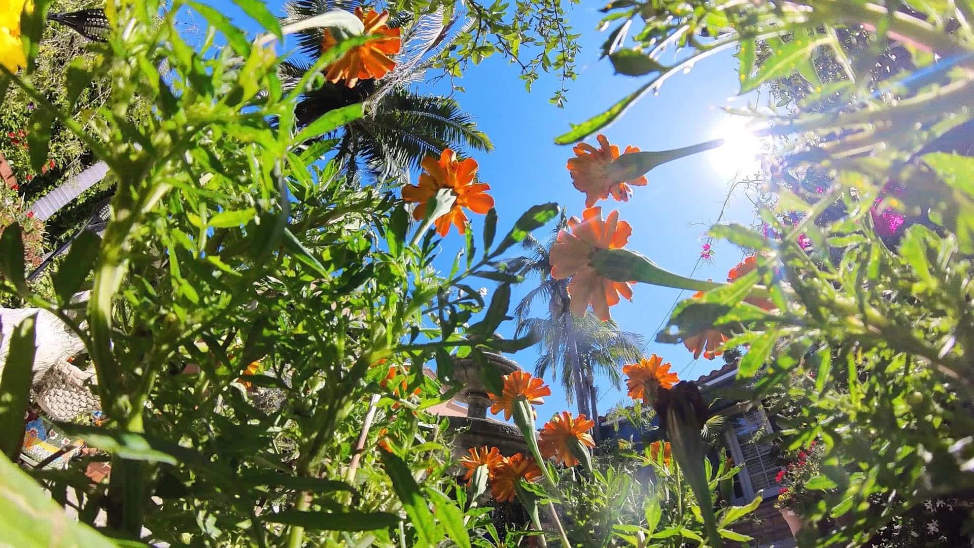 Michele Walman Real Estate Westside News